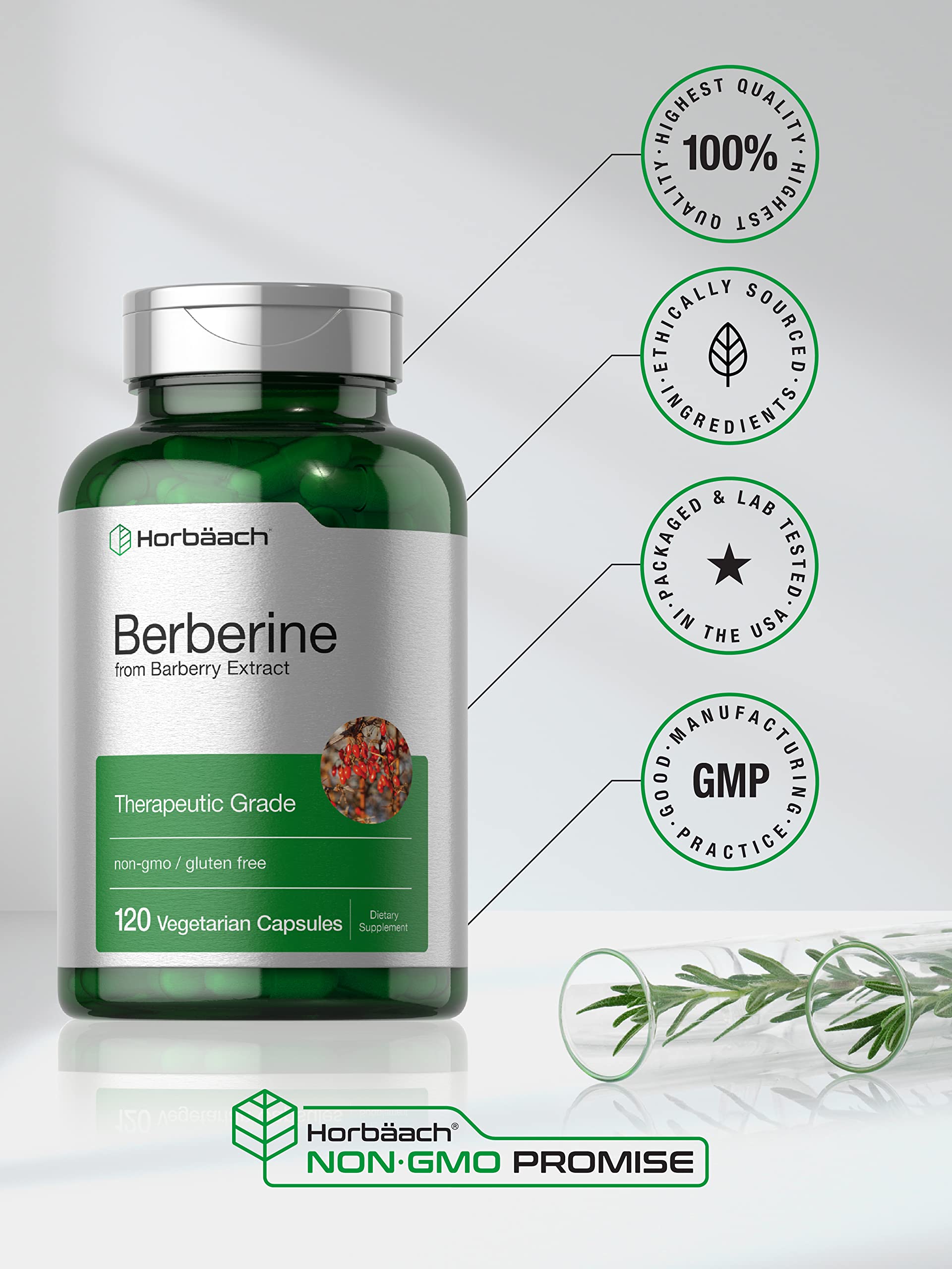Berberine Supplement | 120 Capsules | Berberine HCl from Barberry Extract | Non-GMO Horbäach Au supplements