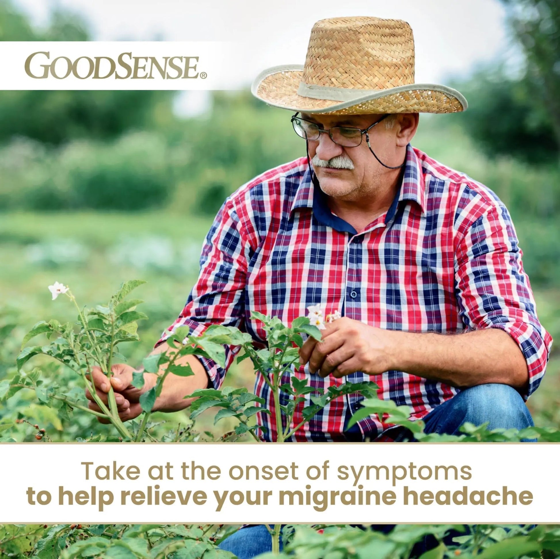 GoodSense Migraine Relief Geltabs, Acetaminophen, Aspirin (NSAID) and Caffeine, 80 Count GoodSense Au supplements