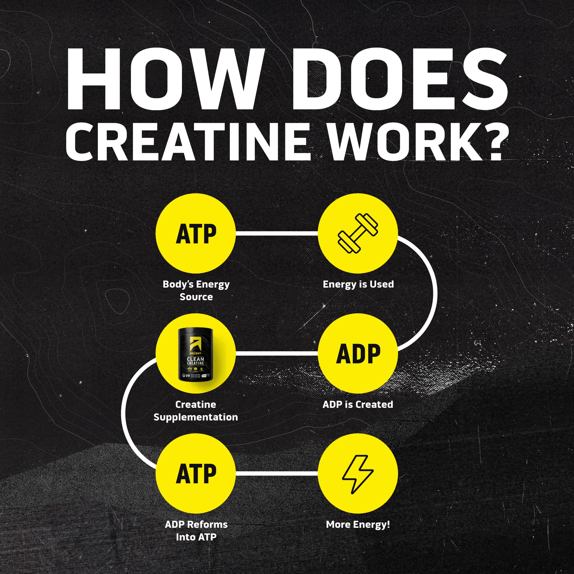 Ascent Clean Creatine Monohydrate Powder - 5G Per Serving, Creapure Creatine Supplement - Unflavored, 100 Servings Ascent Au supplements