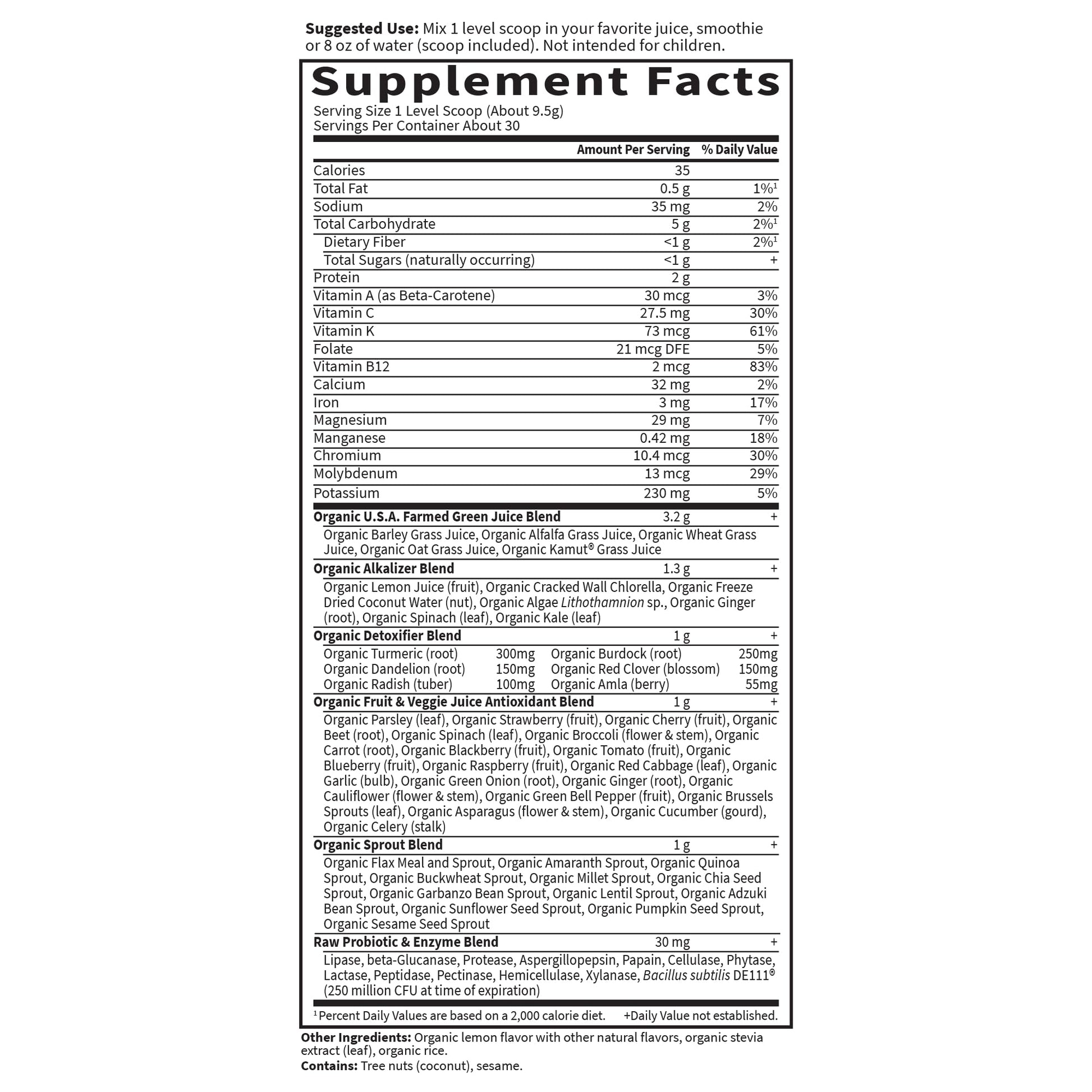 Garden of Life Raw Organic Perfect Food Alkalizer and Detoxifier, Lemon Ginger Flavored Superfood Powder Supplement, 30 Servings Garden of Life Au supplements
