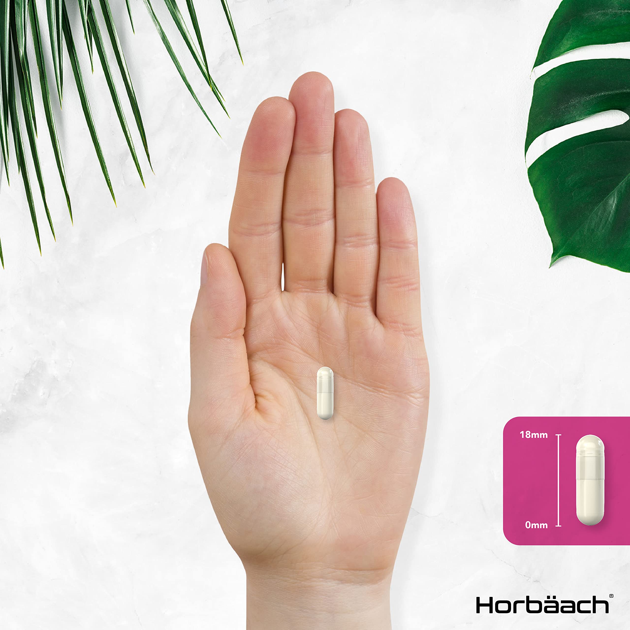 Inositol Supplement for PCOS | 120 Vegan Capsules | Myo-Inositol Complex with Folic Acid Horbäach Au supplements