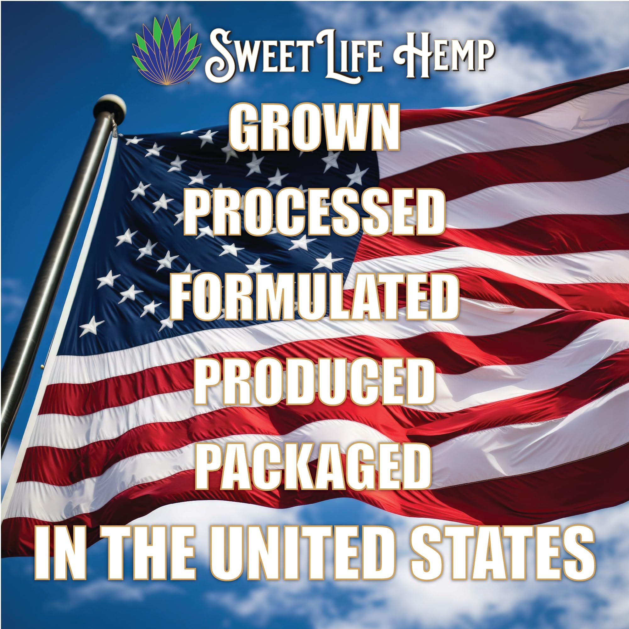 Sweet Life | Hemp Salve Stick | 3000mg | Organic Botanical Balm | Twist-Up Applicator | Small Business | Muscle & Joint Comfort Sweet Life Au supplements