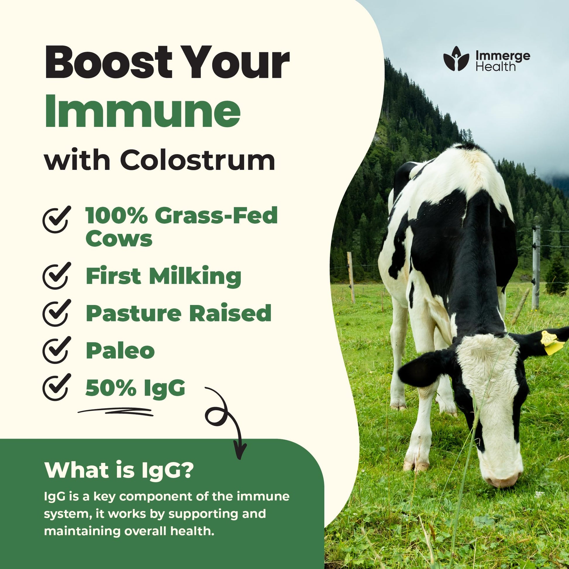 Immerge Health Super Colostrum Powder (60 Servings) – Premium Bovine Colostrum Supplement for Gut Health, Bloating & Immune Support – High IgG, 100% Grass Fed First Milking, Unflavored, Made in USA ImmergeHealth.com Au supplements