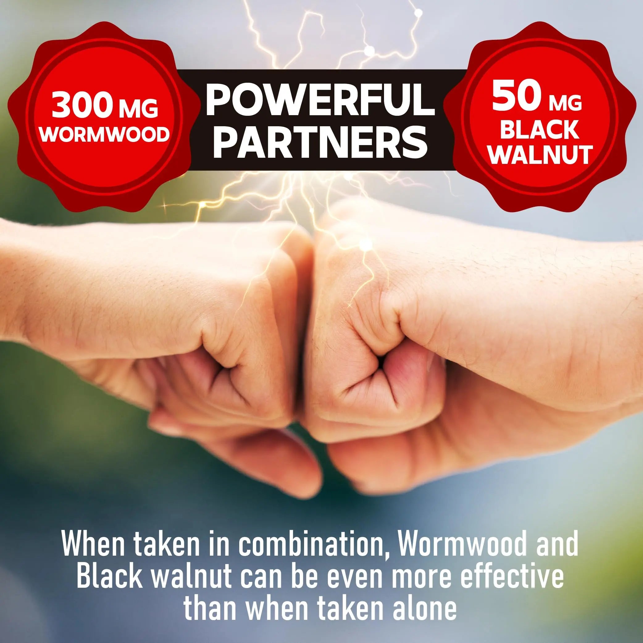 DEDICAD Wormwood Capsules - 12 Herbs Blended Black Walnut, Cloves, Ginger, Turmeric, Cinnamon, Apple, Quassia - 2 Packs 50 Capsules DEDICAD Au supplements