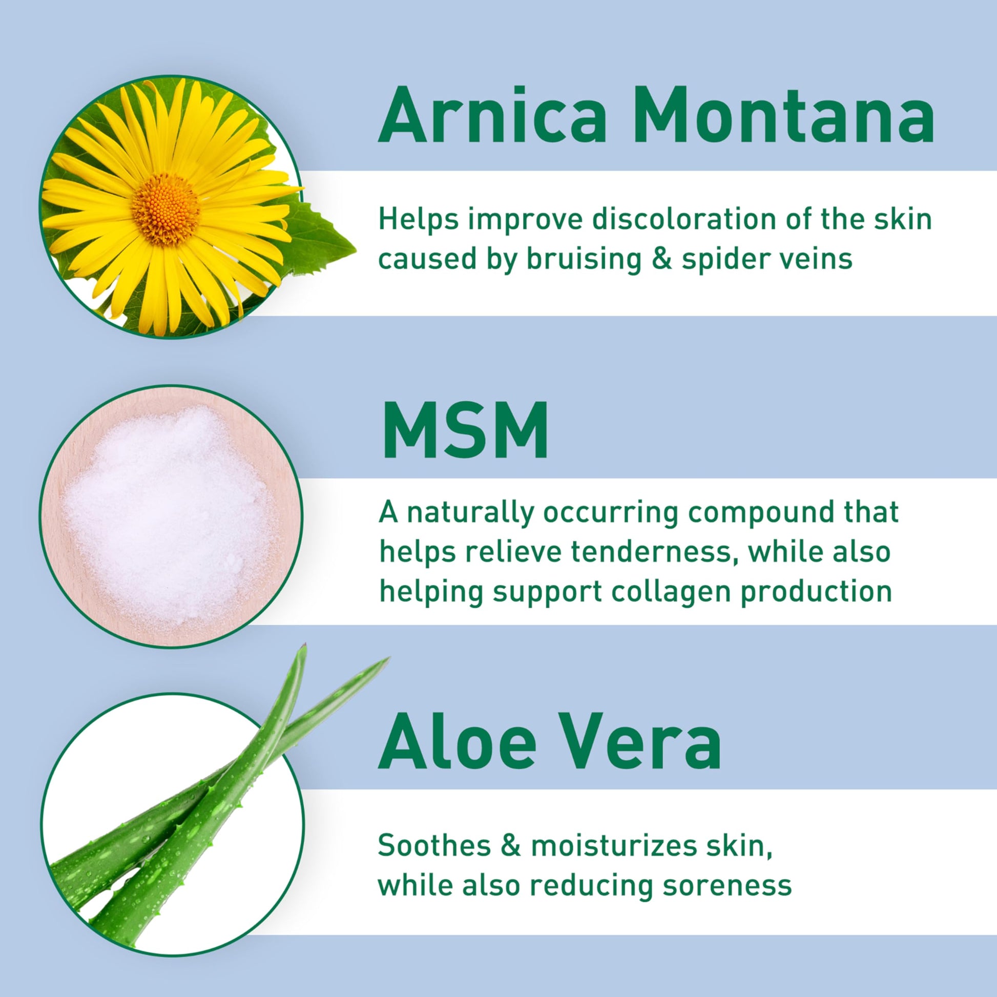 PROcure Arnica & MSM Bruise Remedy Gel – Paraben-Free, Unscented Arnica Montana Gel for Bruising, Spider Veins & Skin Discoloration – 2 Pack PROcure Au supplements
