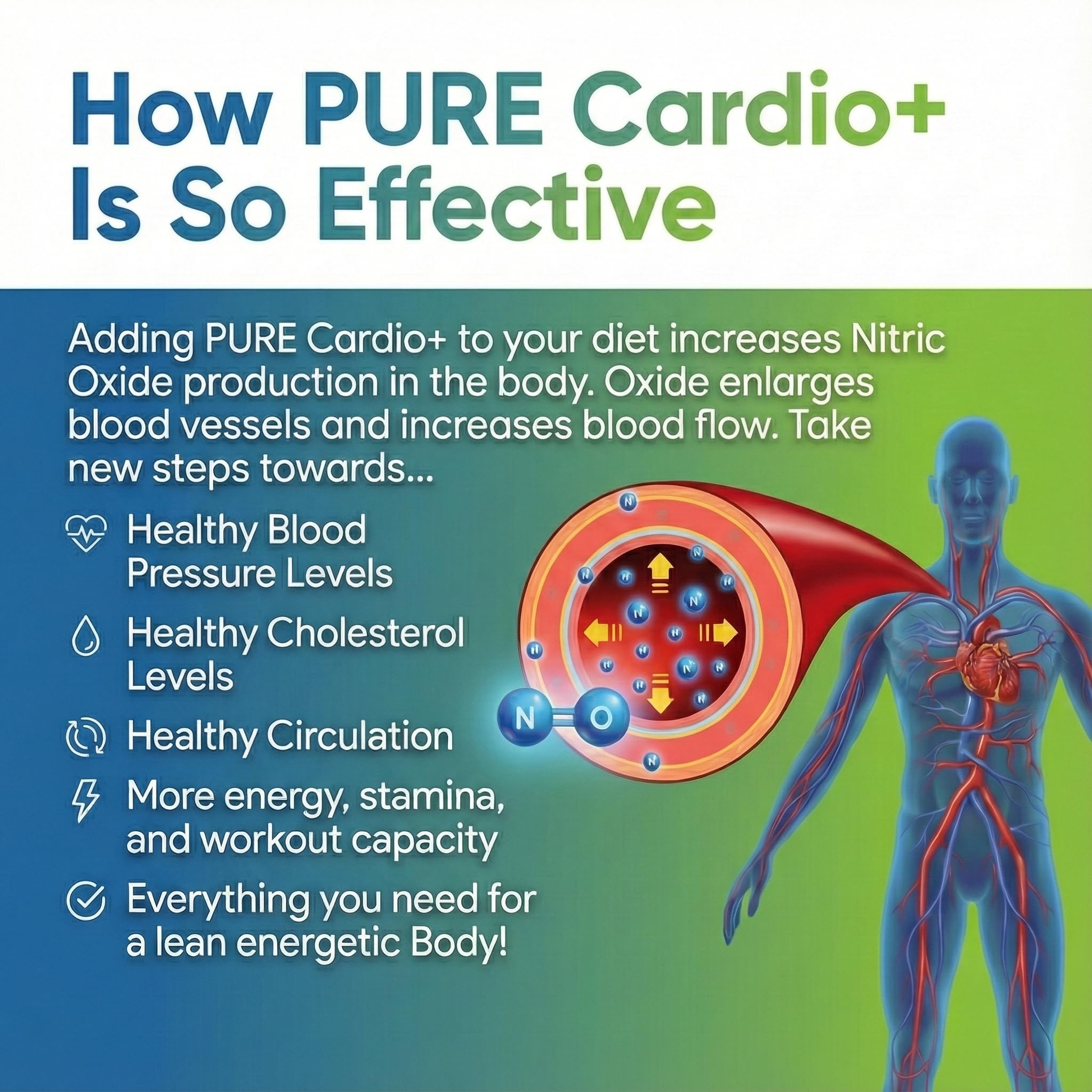 PURE® Cardio+ Nitric Oxide Heart & Circulation Support - 5000mg L-Arginine & 1000mg L-Citrulline - Lemon Lime, 30 Servings Powder, 375 Grams - CoQ10 Beet Root - High Potency Cardiovascular Formula PURE Au supplements