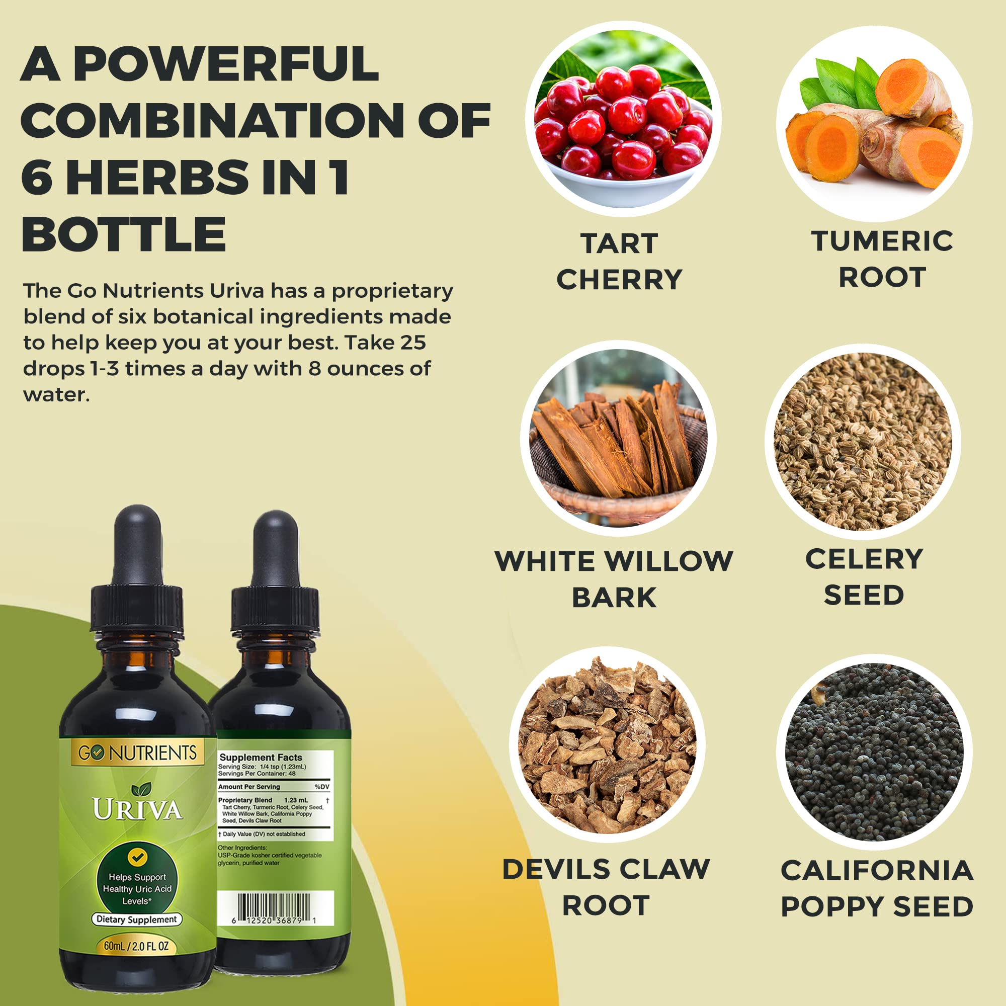 Go Nutrients Uriva Advanced Uric Acid Flush Cleanse with Tart Cherry Extract Celery Seed Extract Turmeric Go Nutrients Au supplements