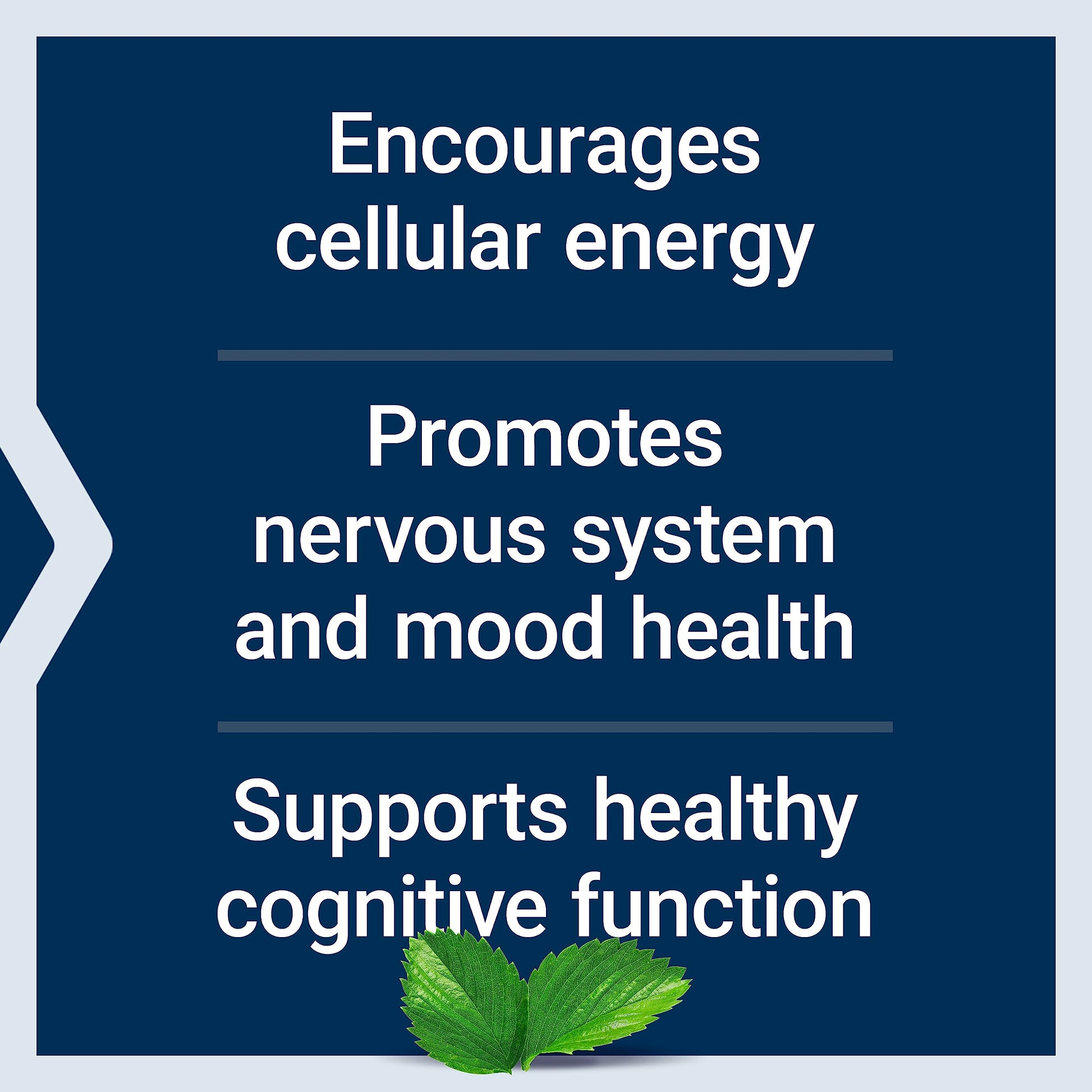 Life Extension Acetyl-L-Carnitine, Acetyl-L-Carnitine, vitamin C, Brain, mood & nerve health Life Extension Au supplements