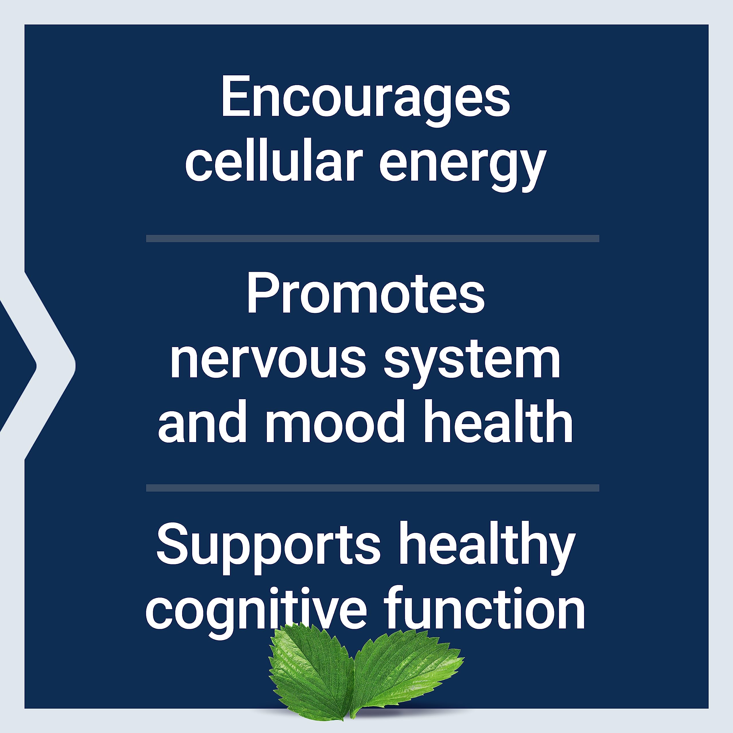 Life Extension Acetyl-L-Carnitine, Acetyl-L-Carnitine, vitamin C, Brain, mood & nerve health Life Extension Au supplements
