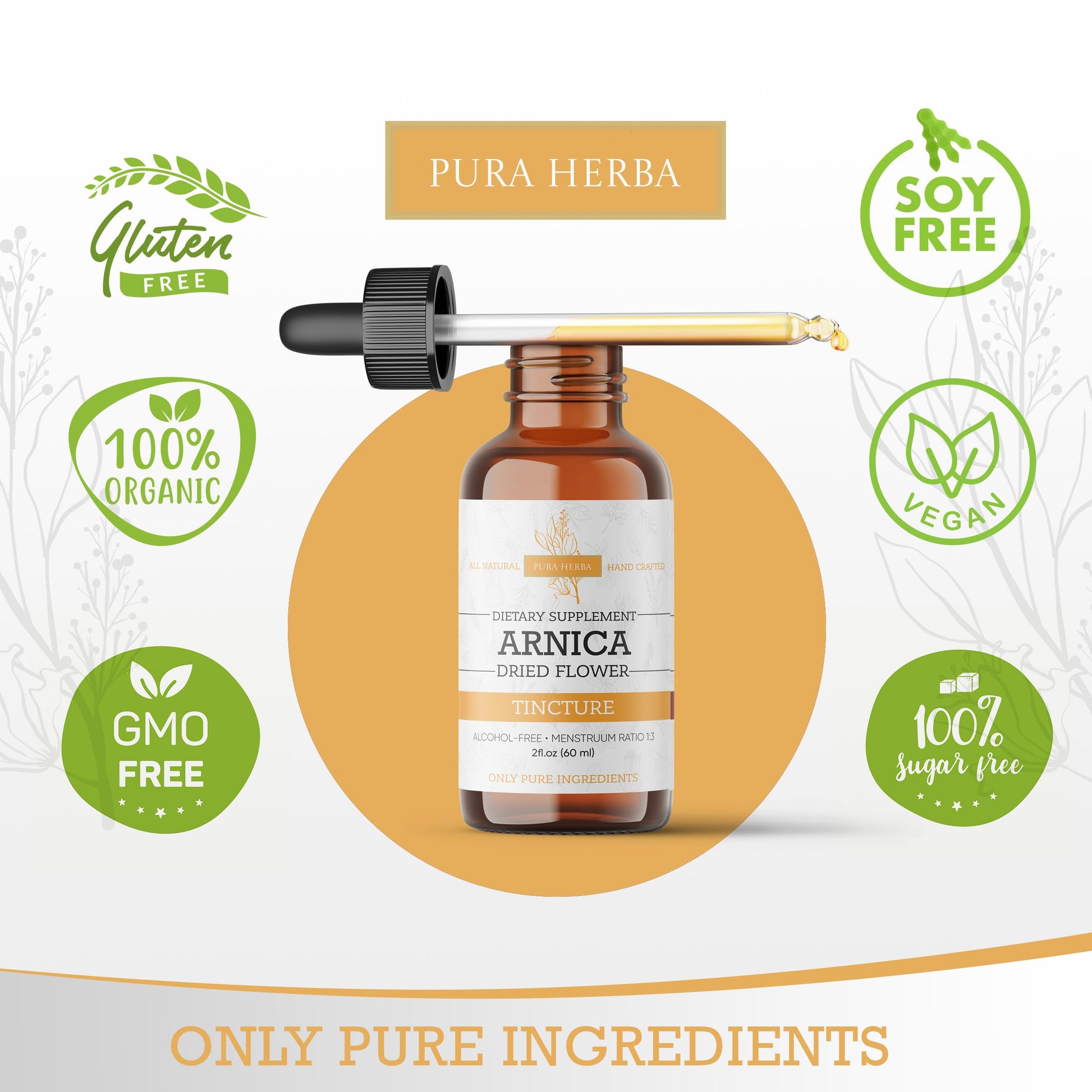 Pura Herba Arnica Liquid Extract – Alcohol-Free, Vegan, Supports Muscle Recovery & Joint Comfort, Fast-Absorbing Tincture, Made in USA – 2 Fl Oz Pura Herba Au supplements
