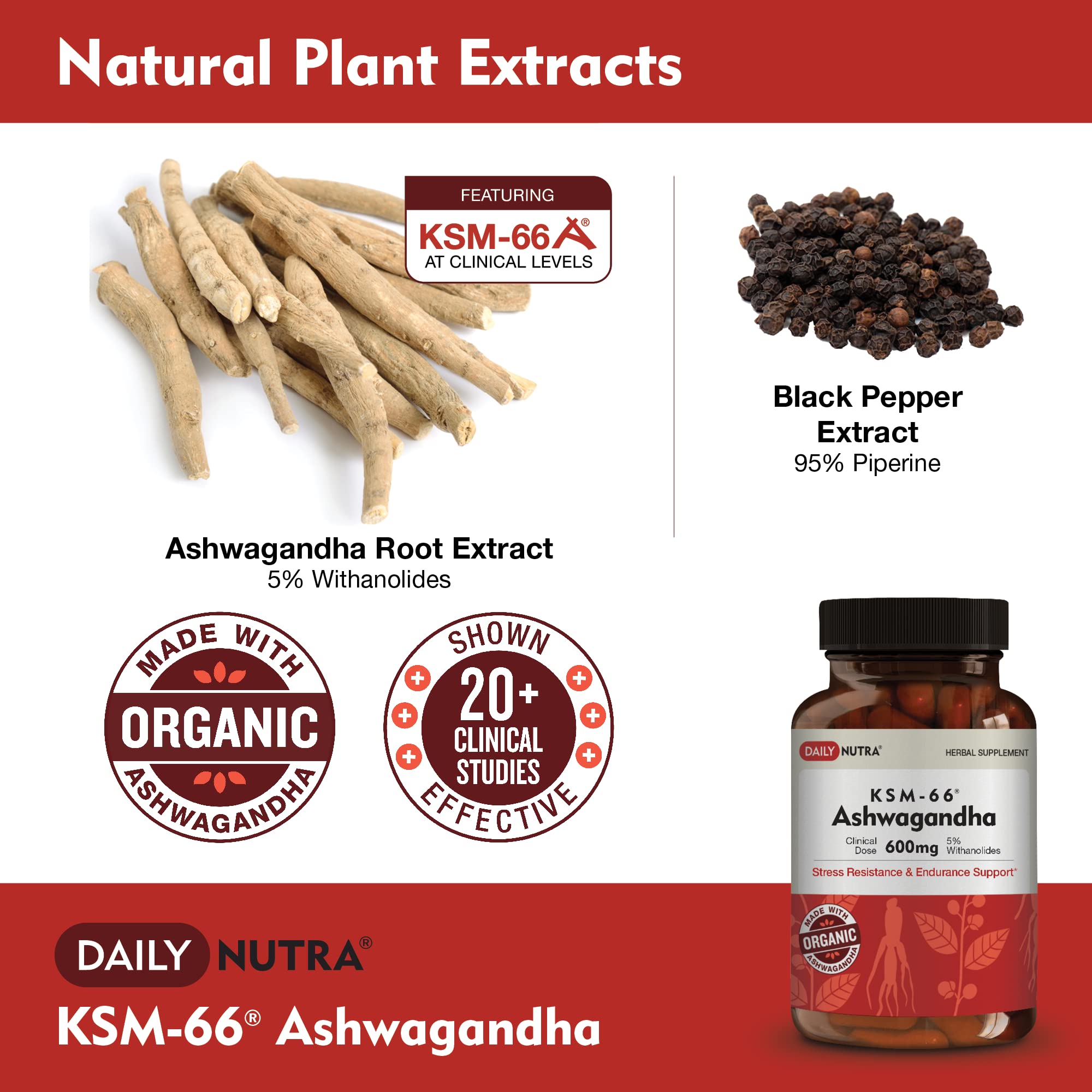DailyNutra KSM-66 Ashwagandha 600mg Organic Root Extract - High Potency Supplement with 5% Withanolides | Relieves Tiredness, Supports Relaxation, Focus, Energy, & Muscle Growth (90 Capsules) DailyNutra Au supplements