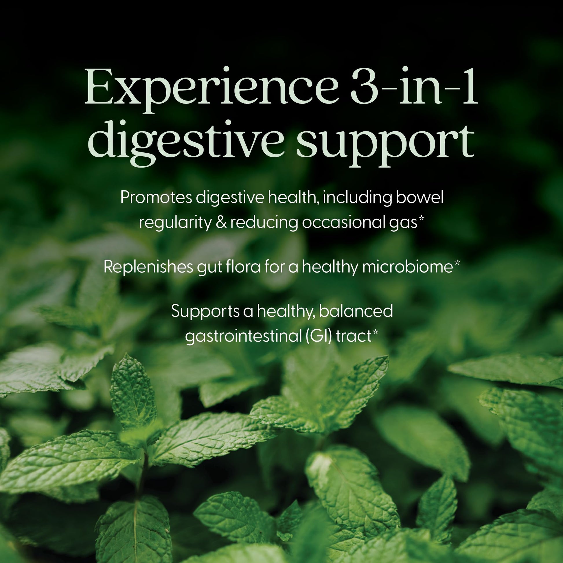 New Chapter All-Flora Probiotic for Advanced Digestion & Complete Gut Health with Prebiotics + Postbiotics, Clinical-Strength Strains, 100% Vegetarian, Non-GMO, Shelf Stable - 60 ct (2 Month Supply) New Chapter Au supplements