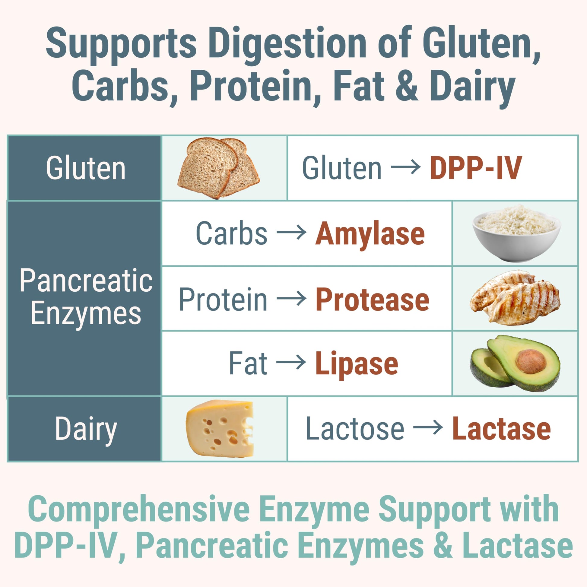 Gluten & Lactase Digestive Enzyme Gummies – Lactase Pancreatic Enzymes with DPP‑IV Lipase Gluco‑Amylase Lactase, Drops Chewables Capsules Pills Powder Supplement Alt, Pancreatic Support, for Kids SHIZAM Au supplements
