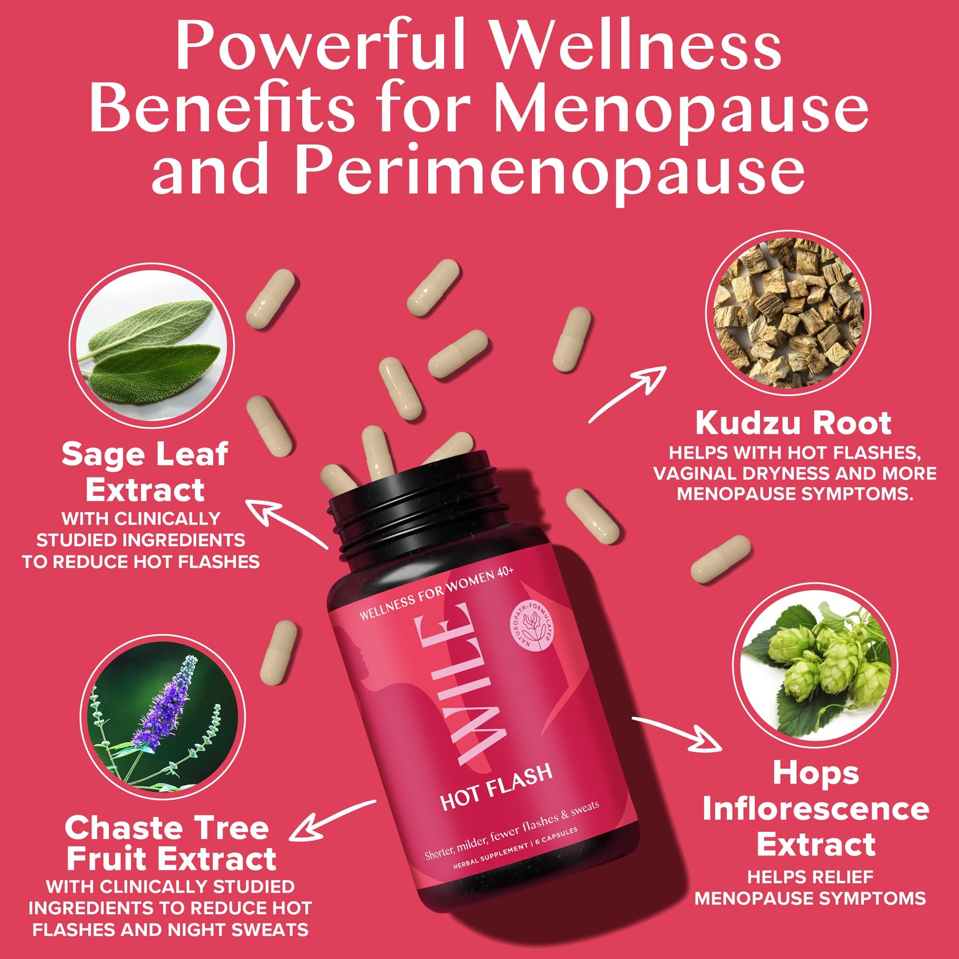 WILE Menopause and Perimenopause Supplements for Women - Hot Flashes and Night Sweats Relief with Kudzu Root - Premenopause Support for Stress, Hot Flash, Hormone Balance & Restful Sleep, 30 Servings WILE Au supplements