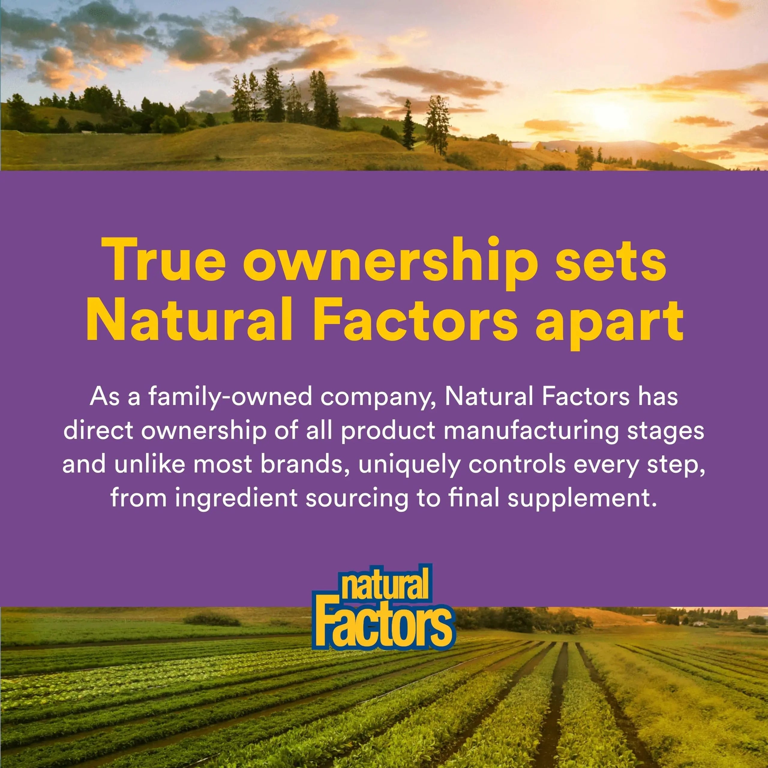 Natural Factors Pharma GABA - Dietary Supplement Supports Calm Sleep & Sleep Quality - Natural, Fast-Working Supplement Aids Focus & Brain Health - 60 Chewable Tablets (60 Servings) Natural Factors Au supplements