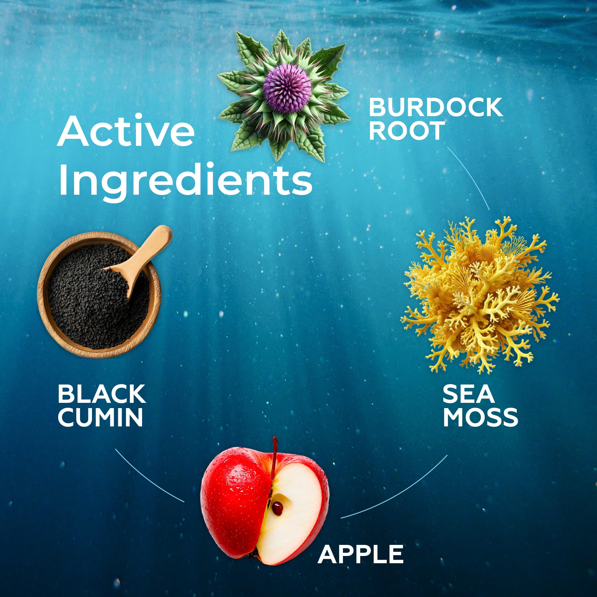 Irish Sea Moss Liquid Drops - 3000mg Formula - with Bladderwrack, Burdock Root & Black Cumin Seed - Liquid Supplement - Apple Flavor - 2 Fl Oz (60ml) TrueSeaMoss Au supplements