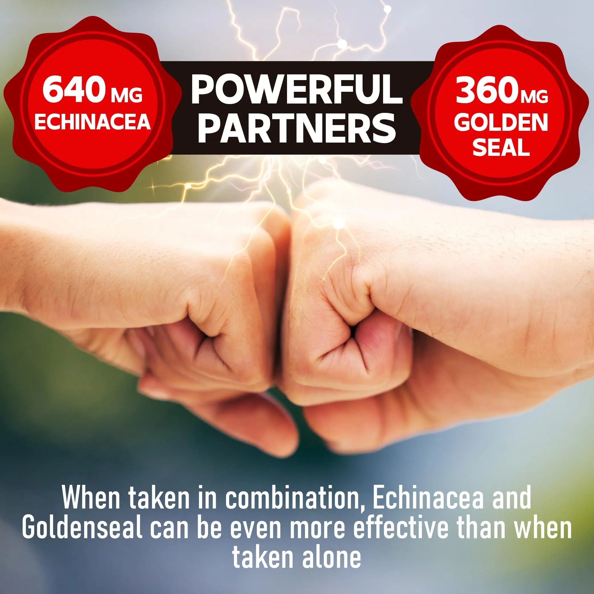 DEDICAD 1000mg Echinacea Goldenseal Capsules - Support Immune System, Well-Being & Overal Health - 60 Veggie Capsules - Non-GMO, Gluten-Free DEDICAD Au supplements