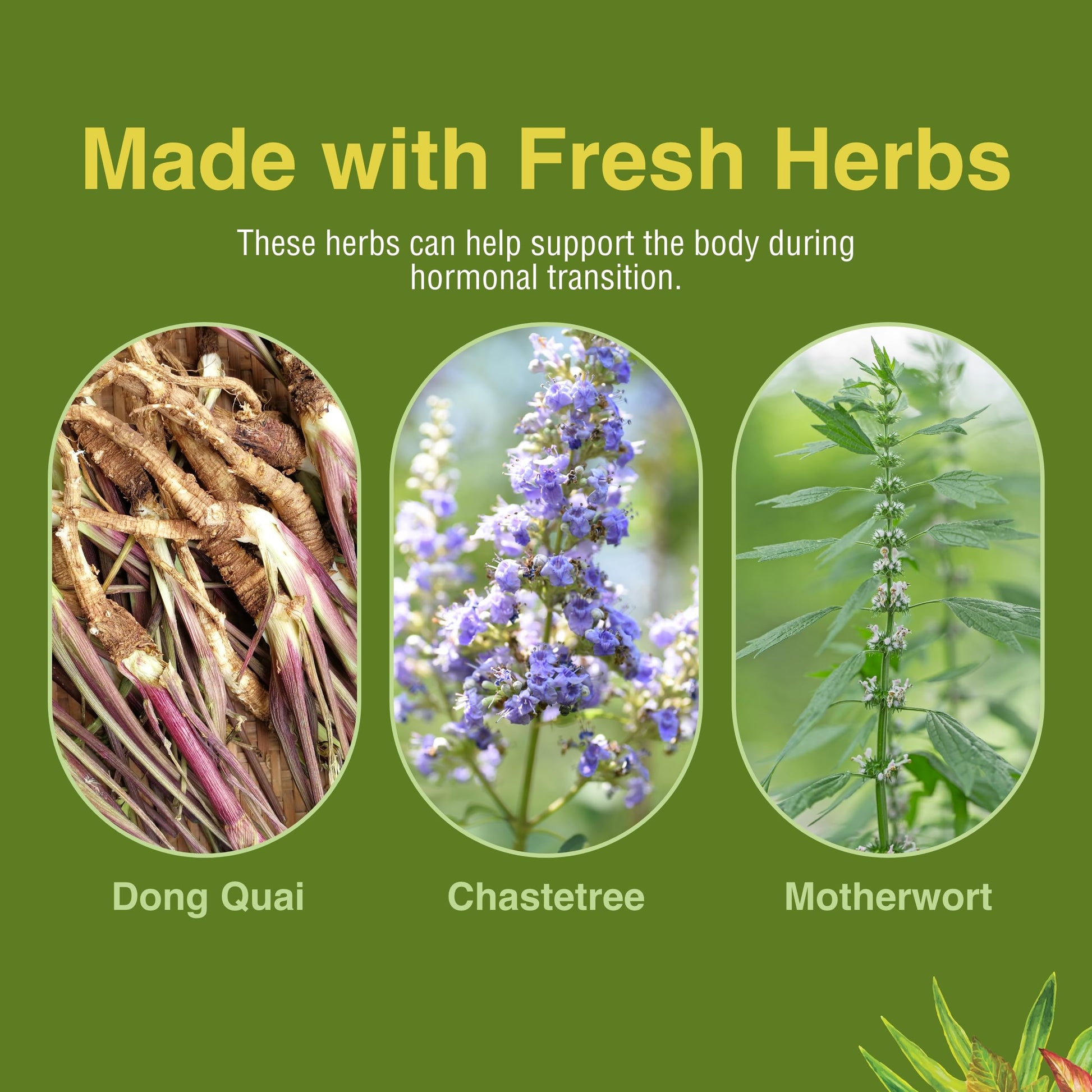 Herbs Etc. Menopautonic Softgels - Essential Supplement for Women - Hormonal Transition Support Supplement - Offers Menopausal Support with Dong Quai & Motherwort - 120 Softgels (120 Servings) Herbs Etc. Au supplements