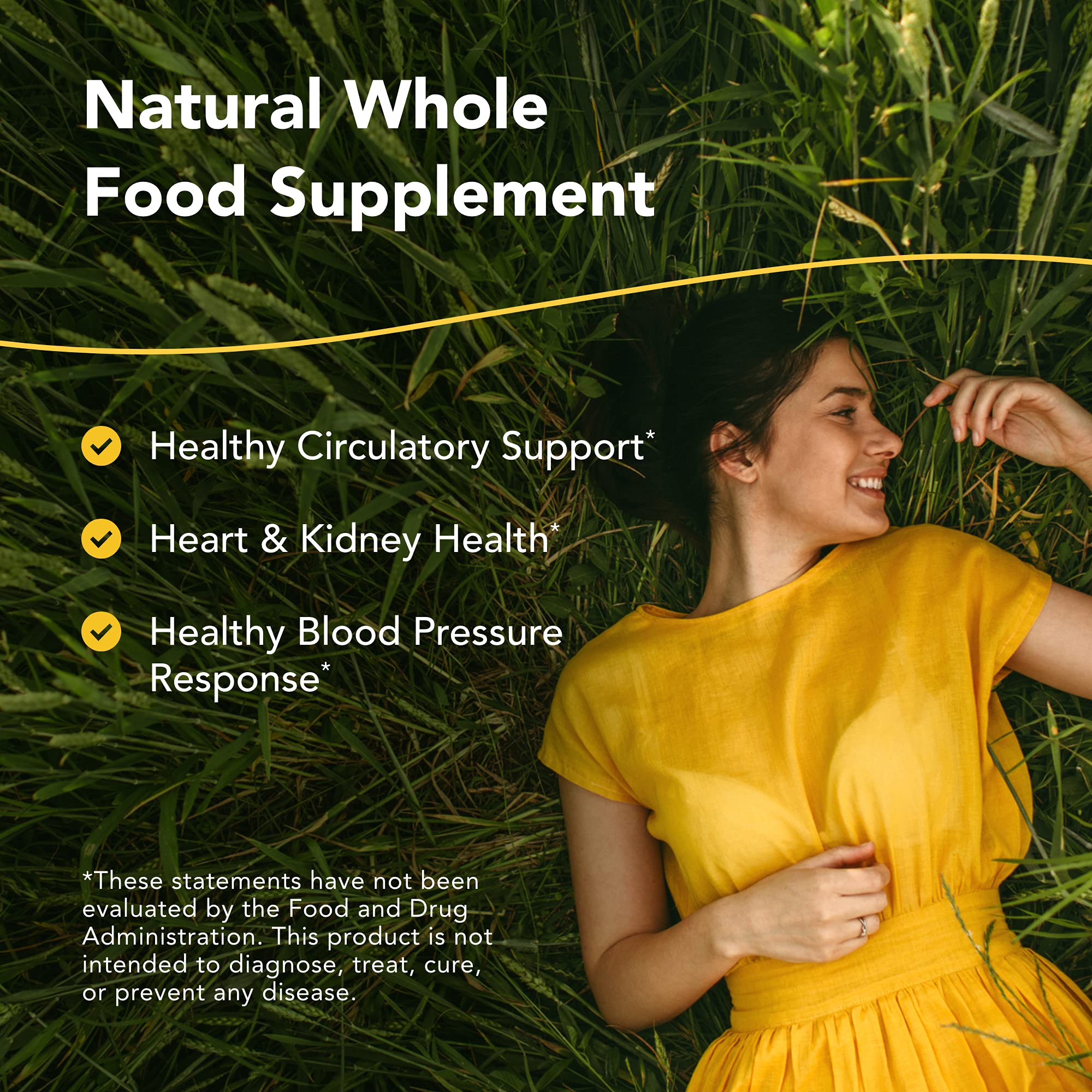 NORTH AMERICAN HERB & SPICE Hyper-eeZ - 90 Vegi Caps - Herbs, Spices, Flowers, Berry Blend - Blood Pressure & Circulation Support - Assists with Heart, Circulation, Kidneys - Non-GMO - 90 Servings NORTH AMERICAN HERB & SPICE Au supplements