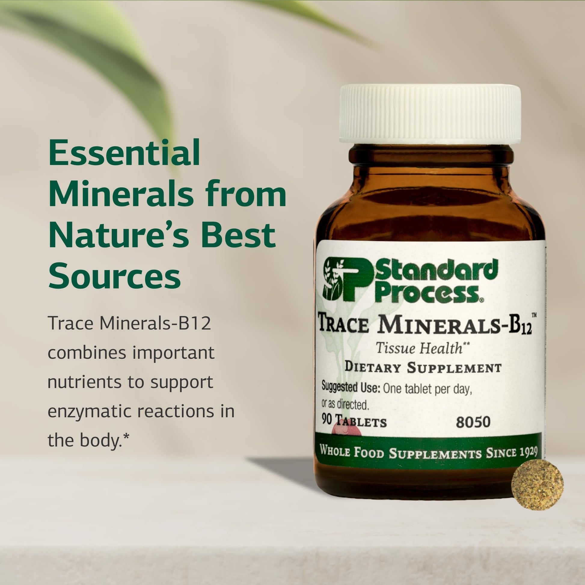 Standard Process Trace Minerals-B12 - Thyroid & Cell Functioning Support with Iodine, Zinc & Copper - Cartilage & Bone Health Aid - Non-Dairy & Non-Soy - 90 Tablets (90 Servings) Standard Process Inc. Au supplements