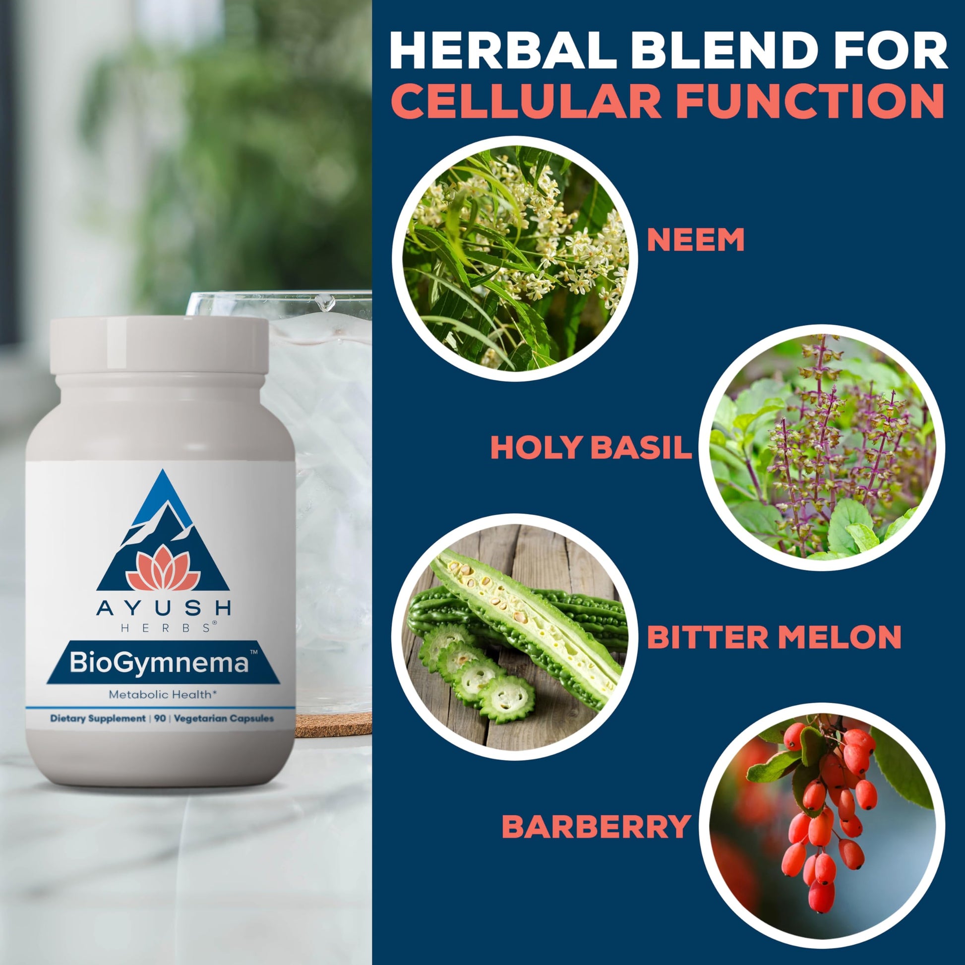Ayush Herbs BioGymnema - Metabolic Vitamin & Herb Blend, Metabolic Health Supplement for Women & Men with Biotin, Berberine, Bitter Melon & Gymnema, Nutrient Support - 90 Servings Ayush Herbs Au supplements