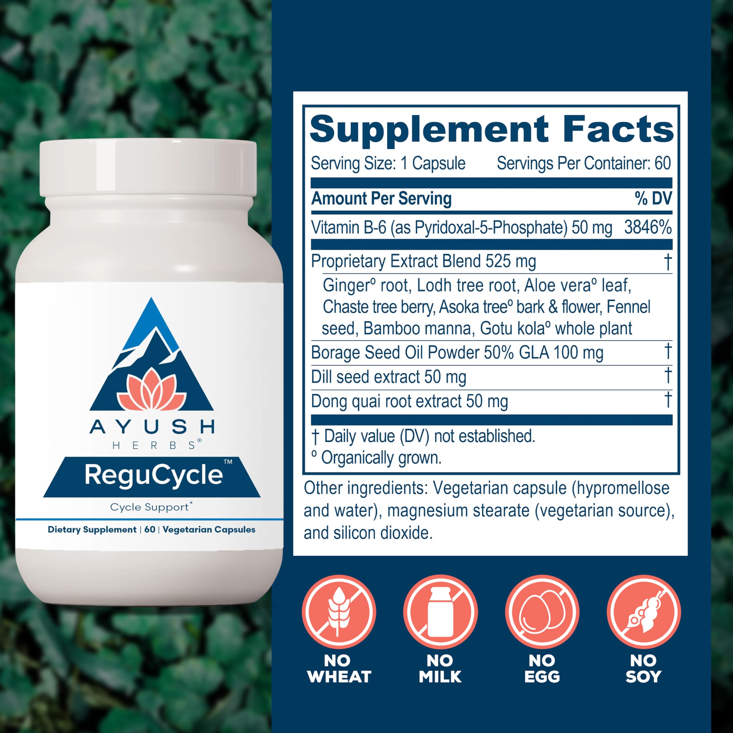Ayush Herbs Regu-Cycle - Hormone Balance for Women, Hormonal Support, Period Support & Relief, Reproductive Health, Regulate Menstrual Cycle, Ovarian Support Supplement - 60 Vegetarian Capsules Ayush Herbs Au supplements