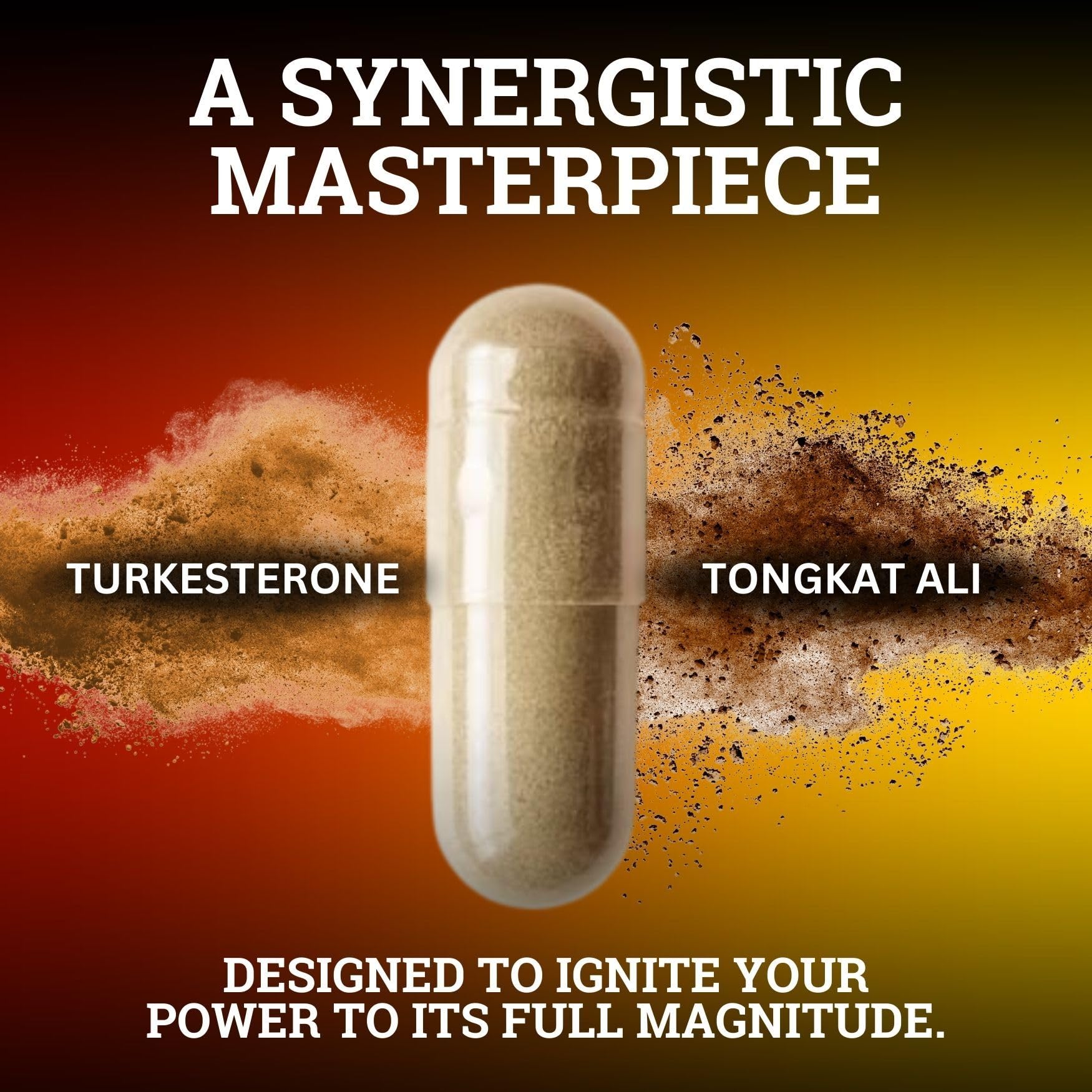 Black Forest Turkesterone Tongkat Ali Supplement 1000mg per Serving (Max Purity 95%) Turkesterone Supplement for Men (Tongkat Ali for Men Longjack 200:1) Similar to Tongkat Ali Fadogia Agrestis Black ForestAu supplements