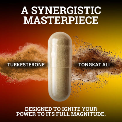 Black Forest Turkesterone Tongkat Ali Supplement 1000mg per Serving (Max Purity 95%) Turkesterone Supplement for Men (Tongkat Ali for Men Longjack 200:1) Similar to Tongkat Ali Fadogia Agrestis Black ForestAu supplements
