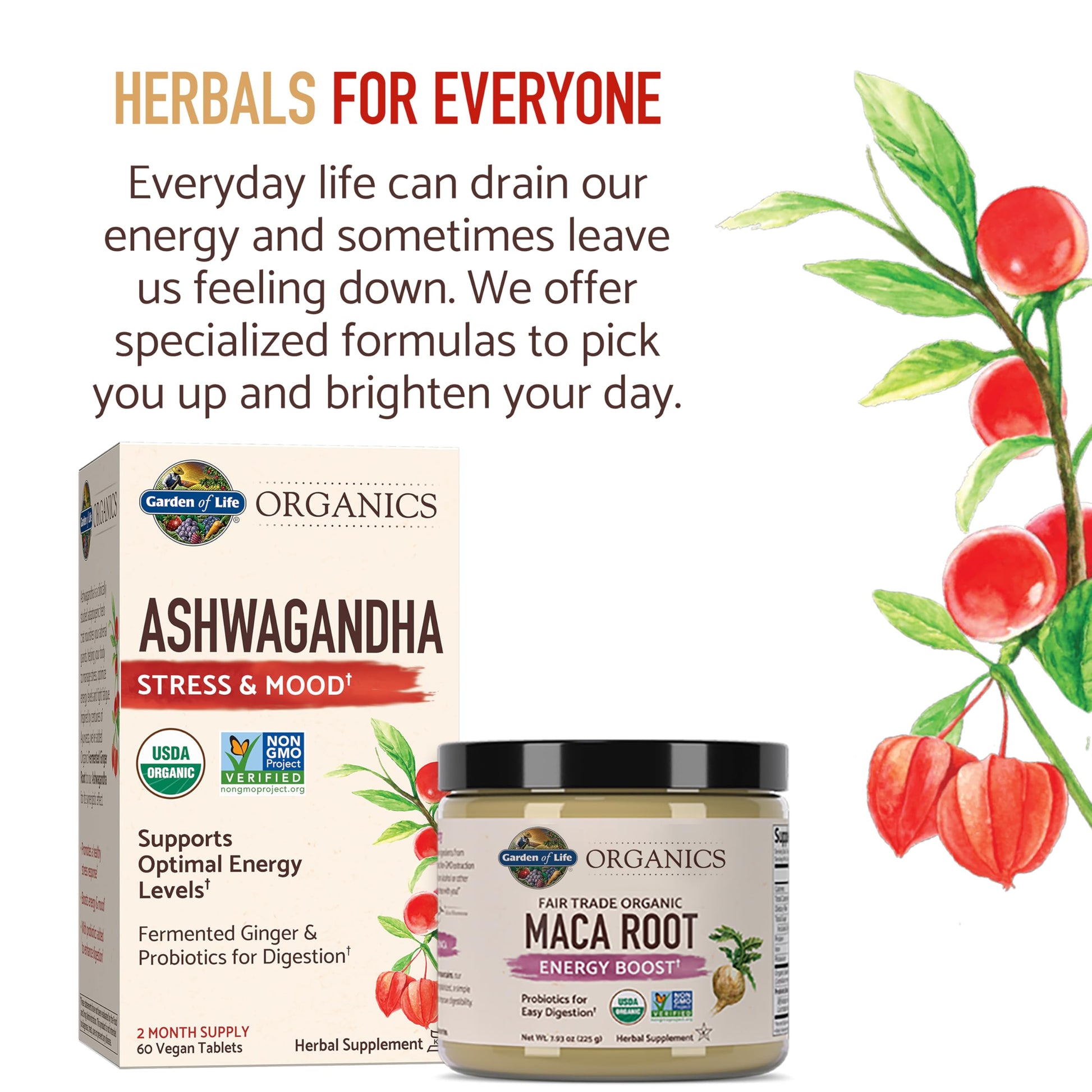 Garden of Life Organic Ashwagandha Supplement with Probiotics & Ginger - Stress, Mood & Energy Support, Vegan, Gluten Free, Non GMO, 2 Month Supply, 60 Tablets Garden of Life Au supplements