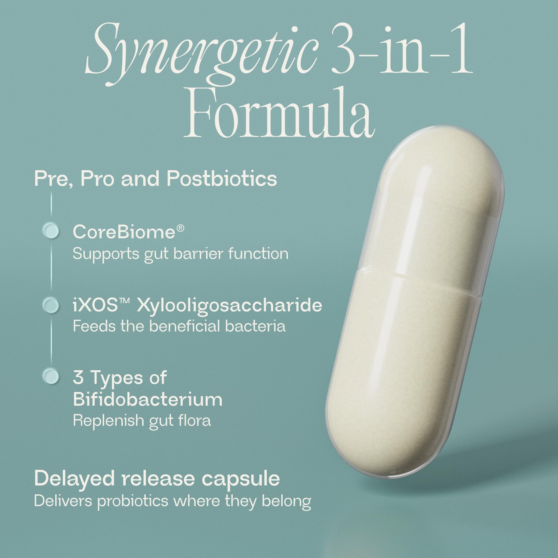 BIOMA Probiotics - Digestive Health Probiotic - Gut Support for Men & Women with Xylooligosaccharides, Tributyrin & Bifidobacterium - Vegan & Gluten Free - 60 Delayed-Release Capsules (30-Day Supply) BIOMA Au supplements