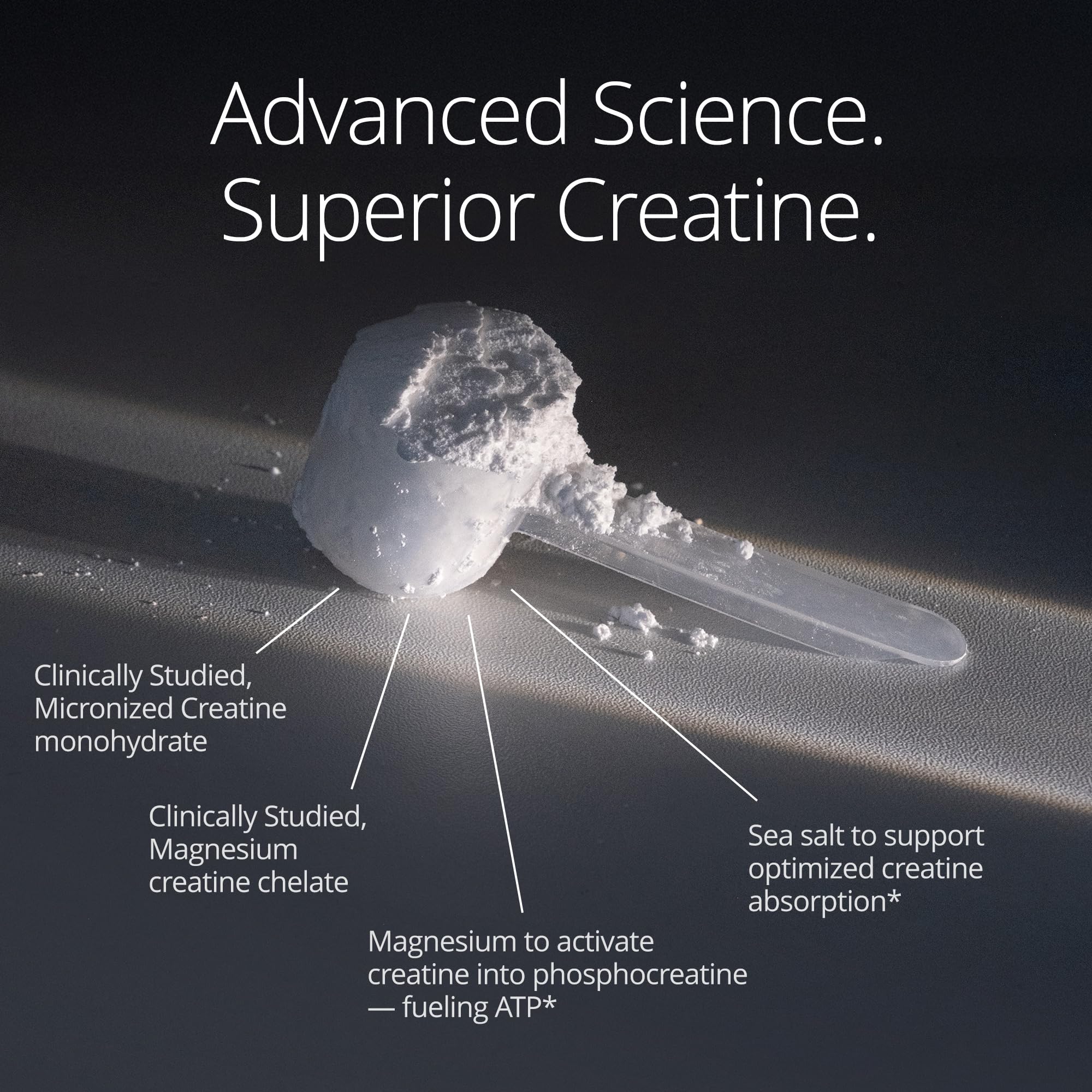 Qualia Creatine | Advanced Creatine Complex | 2 Sources + Magnesium | Optimized Absorption | Muscle Performance, Brain Function, & Healthy Aging QUALIA LIFE SCIENCES Au supplements