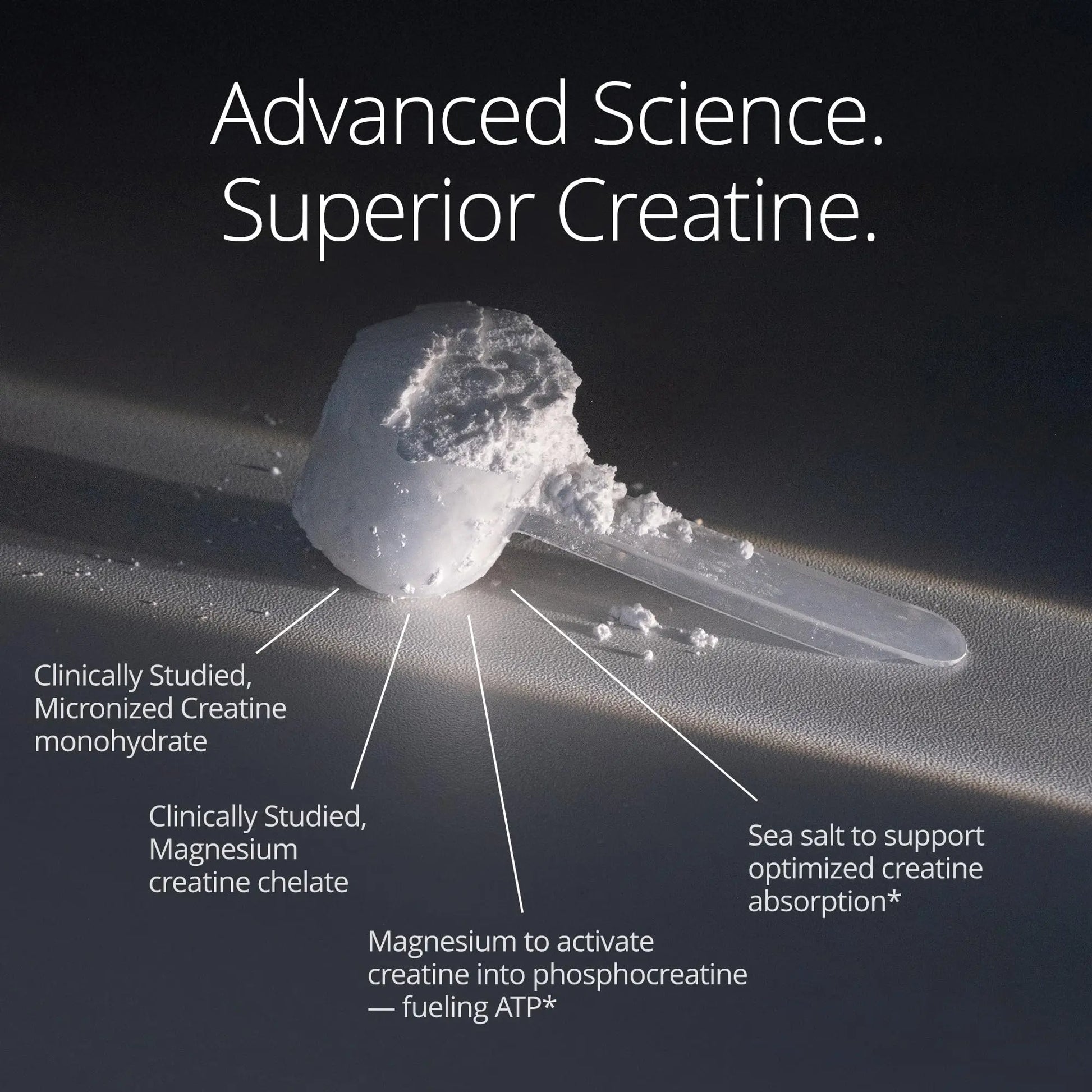 Qualia Creatine | Advanced Creatine Complex | 2 Sources + Magnesium | Optimized Absorption | Muscle Performance, Brain Function, & Healthy Aging (30 Servings) QUALIA LIFE SCIENCES Au supplements