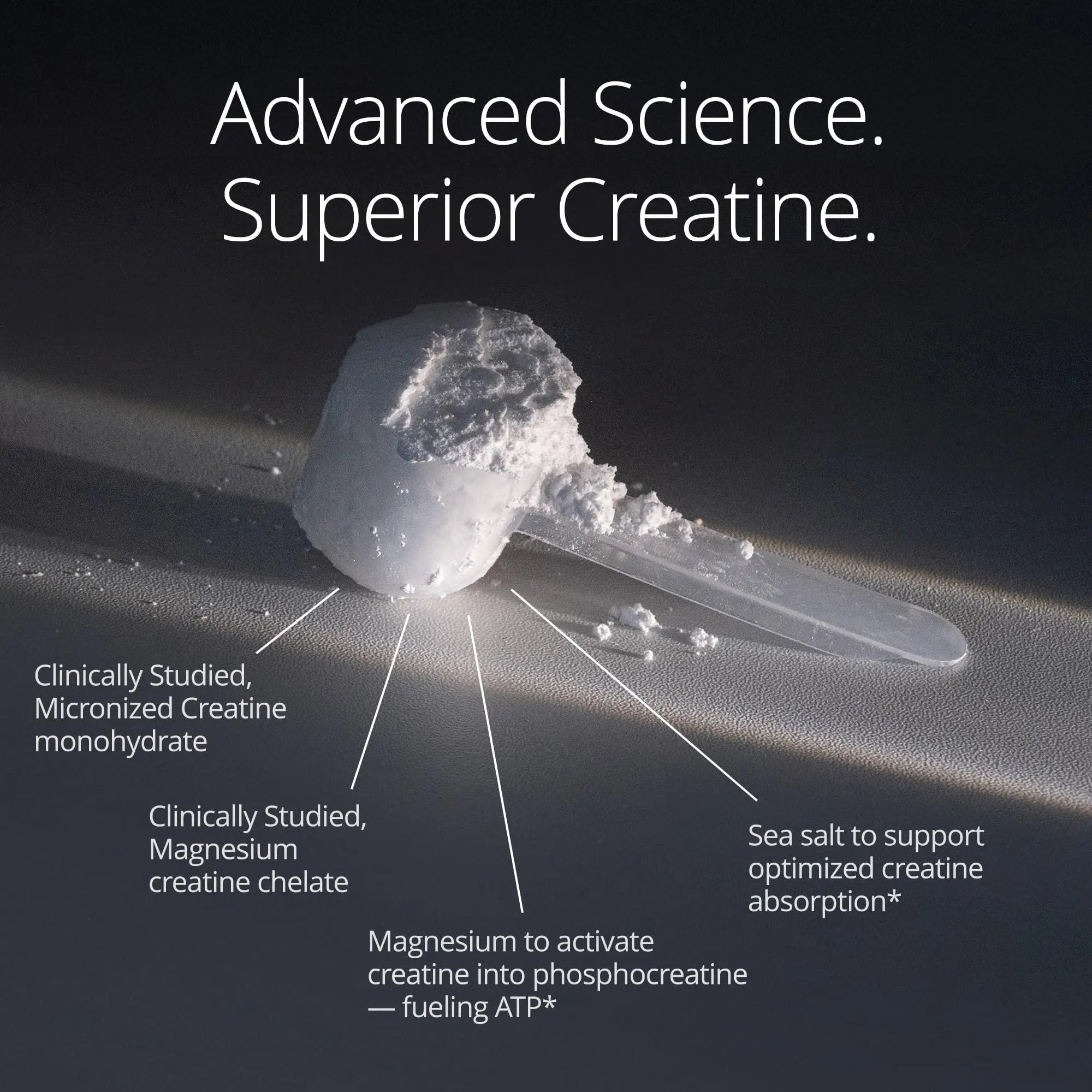 Qualia Creatine | Advanced Creatine Complex | 2 Sources + Magnesium | Optimized Absorption | Muscle Performance, Brain Function, & Healthy Aging (30 Servings) QUALIA LIFE SCIENCES Au supplements