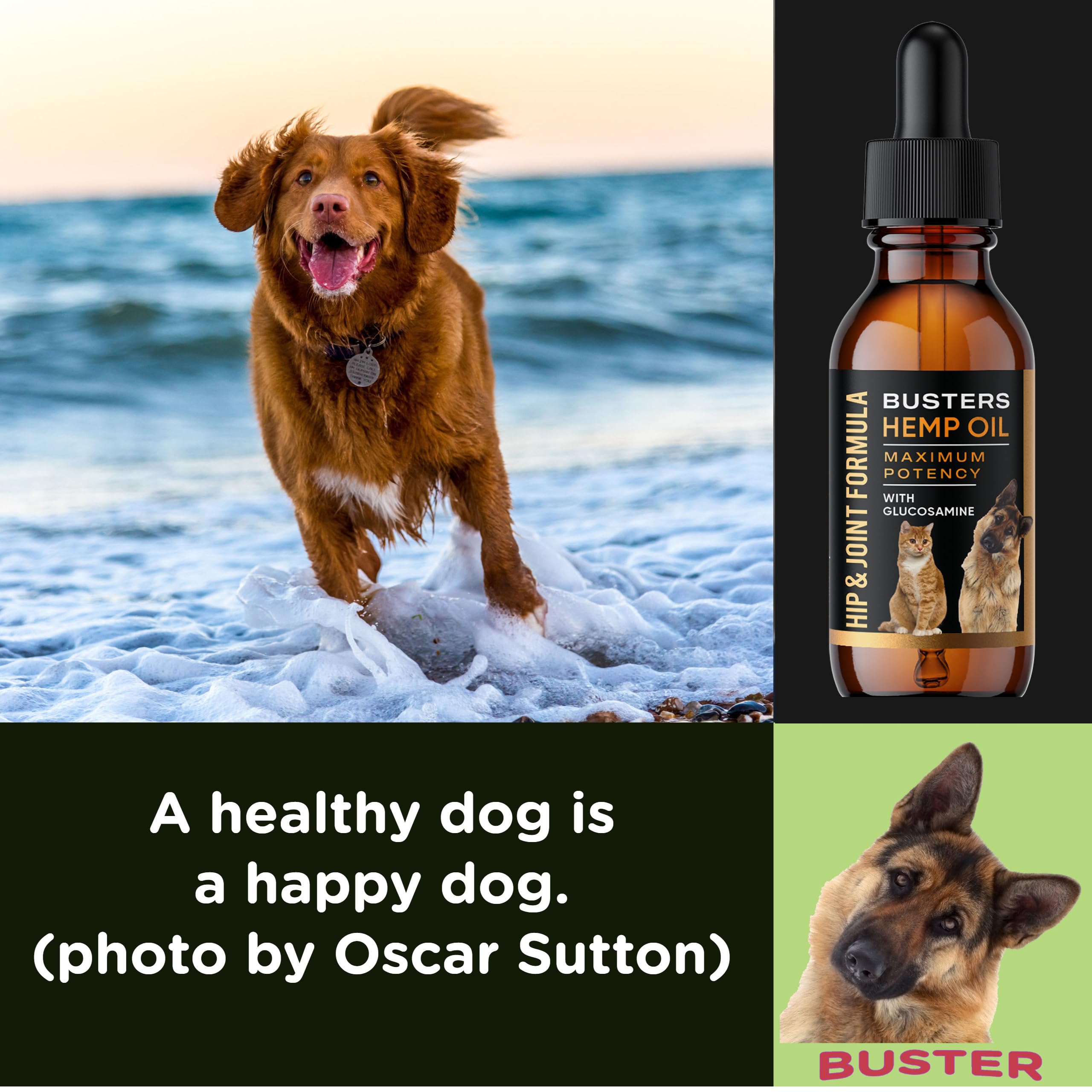 Busters Hip and Joint Hemp Oil Formula enriched with Glucosamine, Pain Relief for Dogs and Pets, Arthritis, and Advanced Mobility Support K2xLabs Au supplements