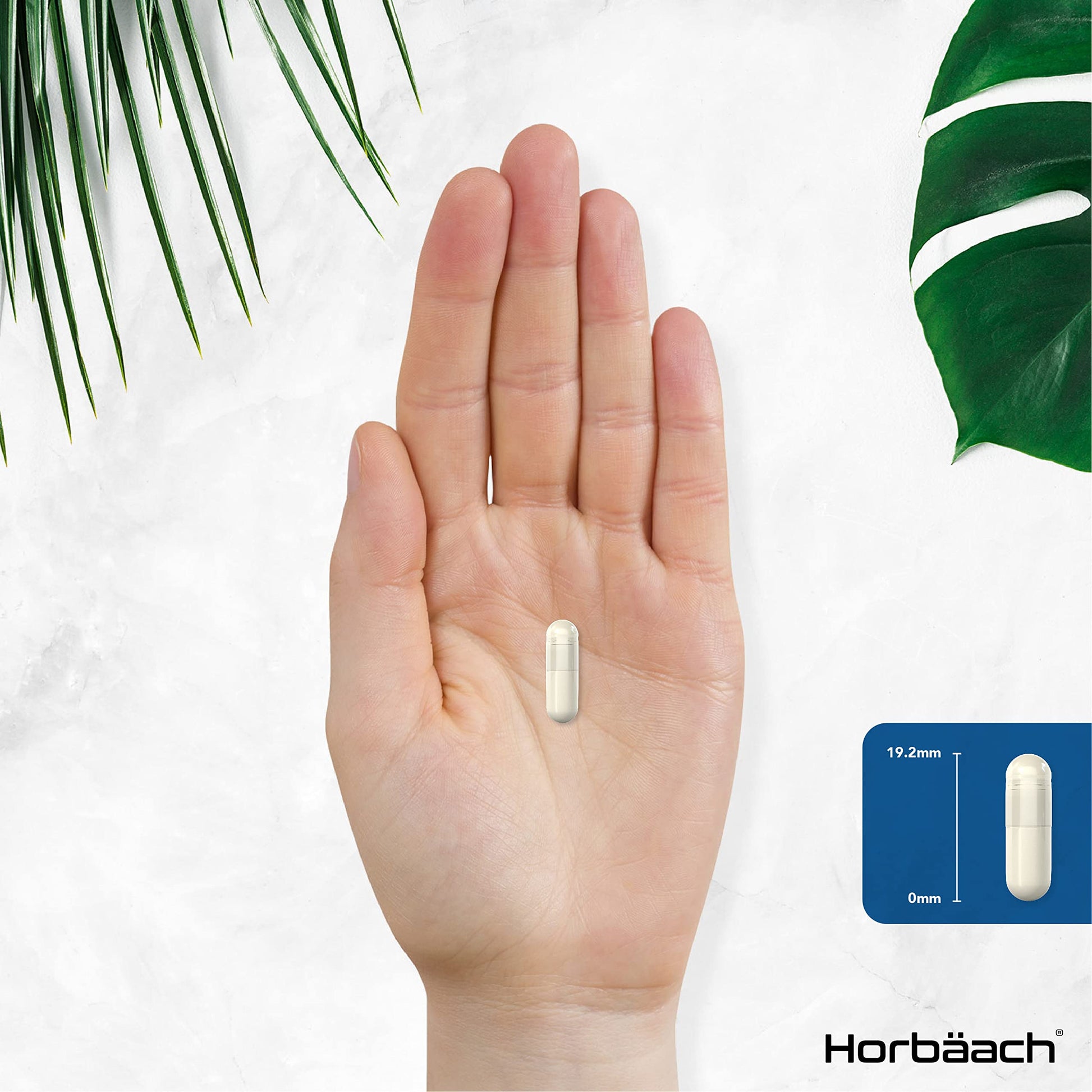 L-Methylfolate 1000ug | 200 Capsules | 5-MTHF Folate Supplement | Active Form Horbäach Au supplements