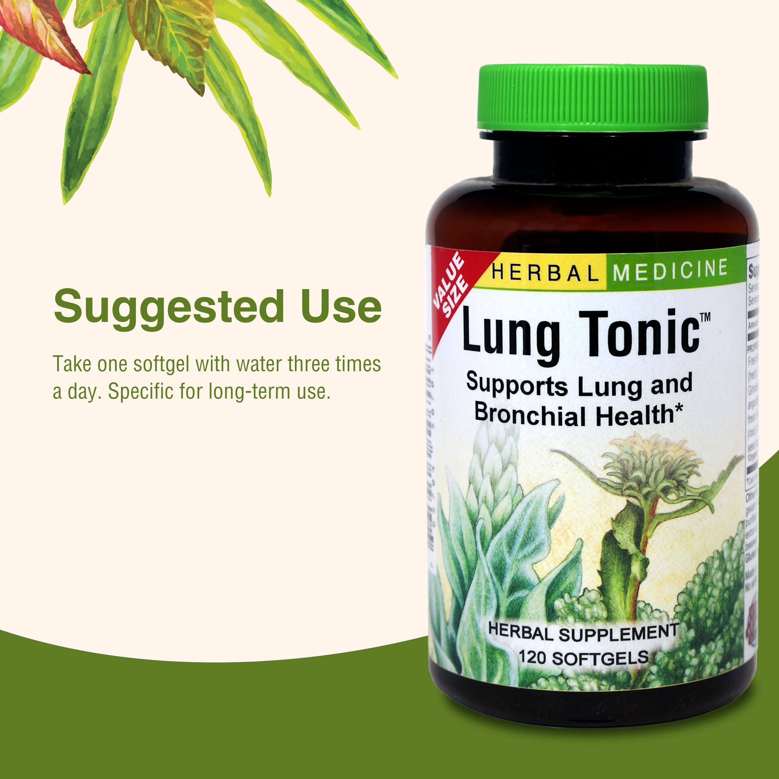 Herbs Etc. Lung Tonic - Lung Supplement for Bronchial Support - Healthy Breathing Support with Mullein, Horehound & Grindelia - 120 Softgels Herbs Etc. Au supplements