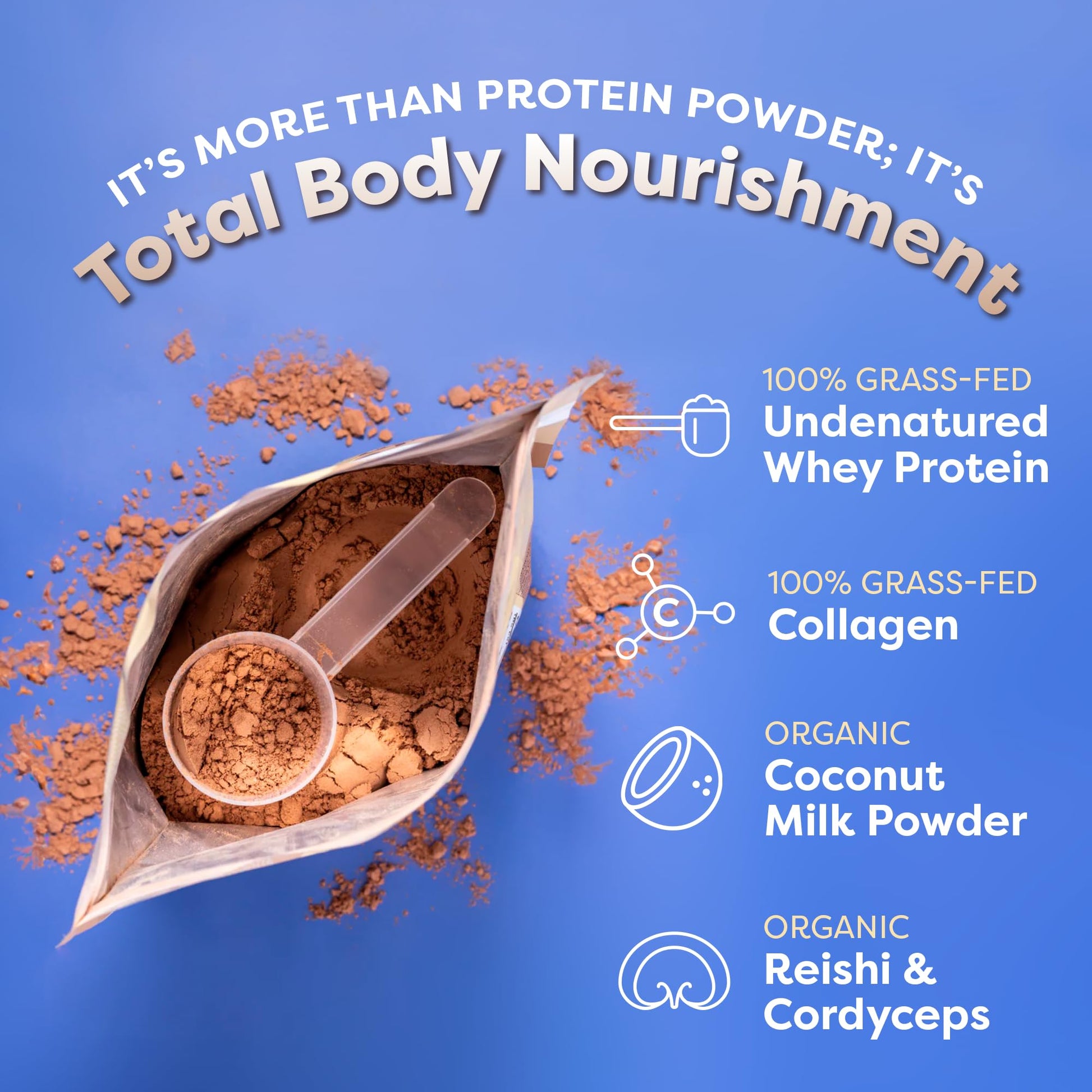 FlavCity Protein Powder Smoothie, Chocolate Peanut Butter - 100% Grass-Fed Whey Pro FlavCity Au supplements