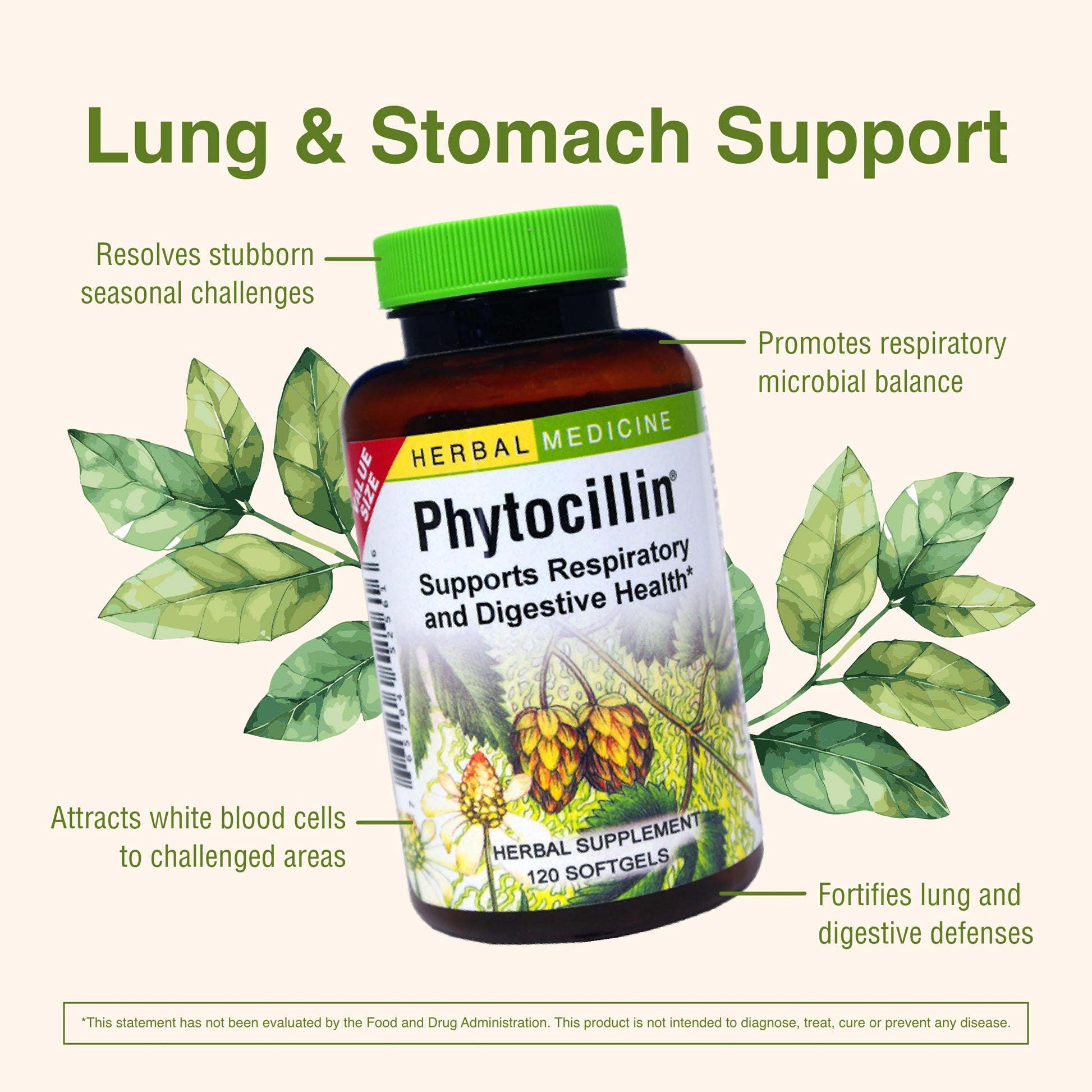 Herbs Etc. Phytocillin - Respiratory & Digestive Health Support Supplement - Herbal Formula to Support Digestion - Support Healthy Breathing - 120 Softgels (120 Servings) Herbs Etc. Au supplements
