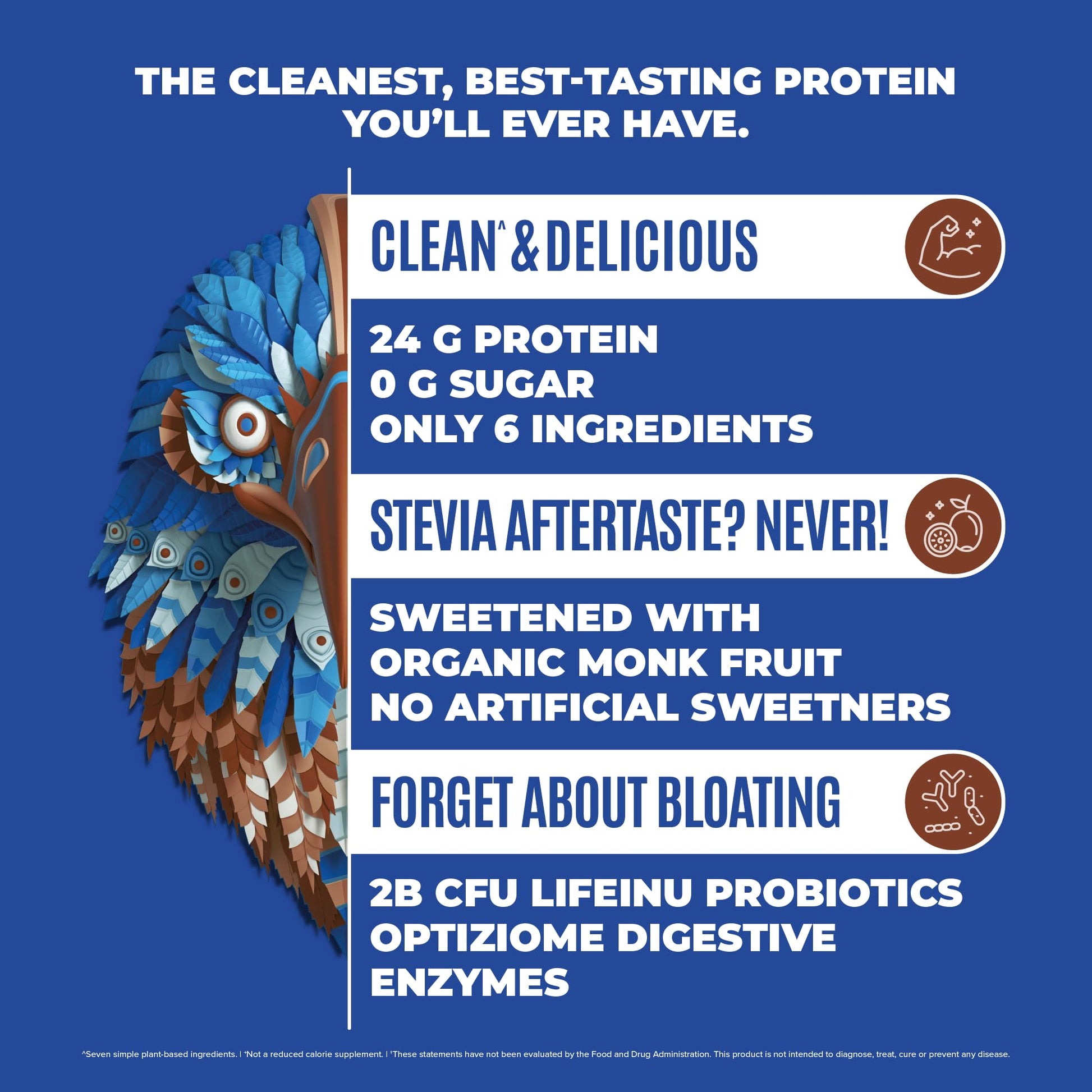 BIRDMAN Falcon Vegan Protein Powder Organic, Stevia & Sugar Free, Plant Based Protein BIRDMAN Au supplements