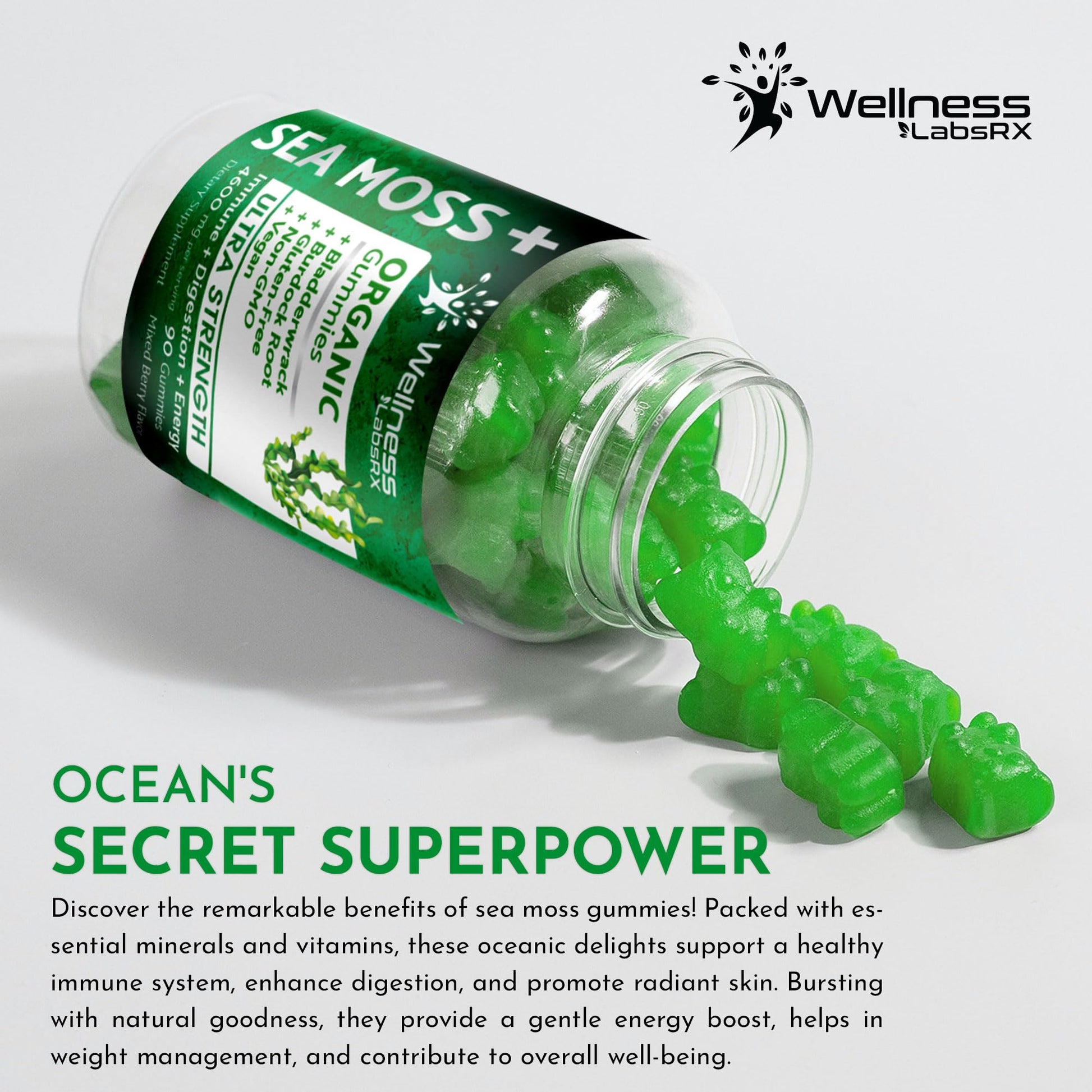 WELLNESS LABSRX Sea Moss Gummies, 3200mg Organic Seamoss, Irish Sea Moss WELLNESS LABSRX Au supplements