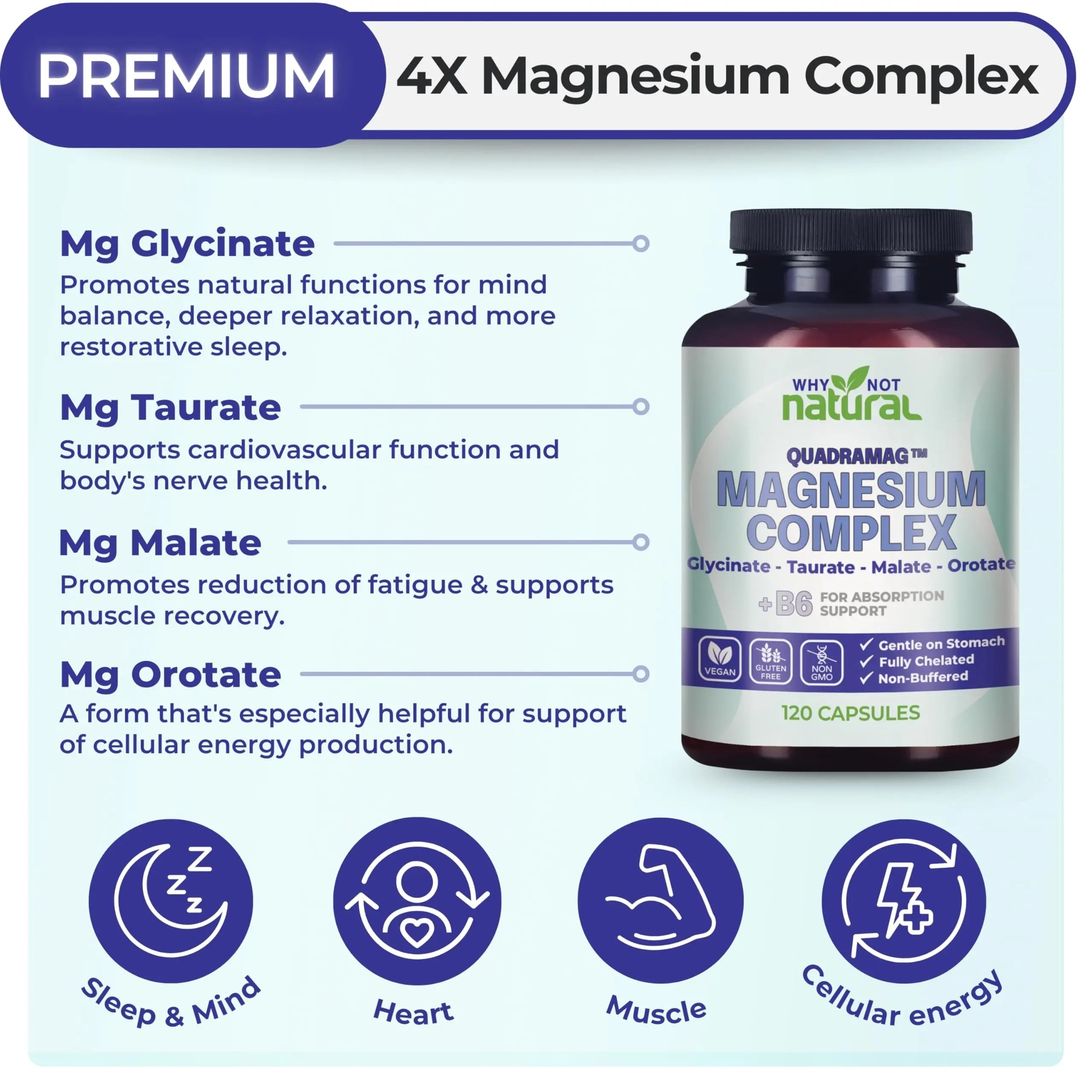 4-in-1 Magnesium Complex Supplement - Glycinate, Taurate, Malate, Orotate Blend - 300 mg per Serving, 120 Capsules Why Not Natural Au supplements