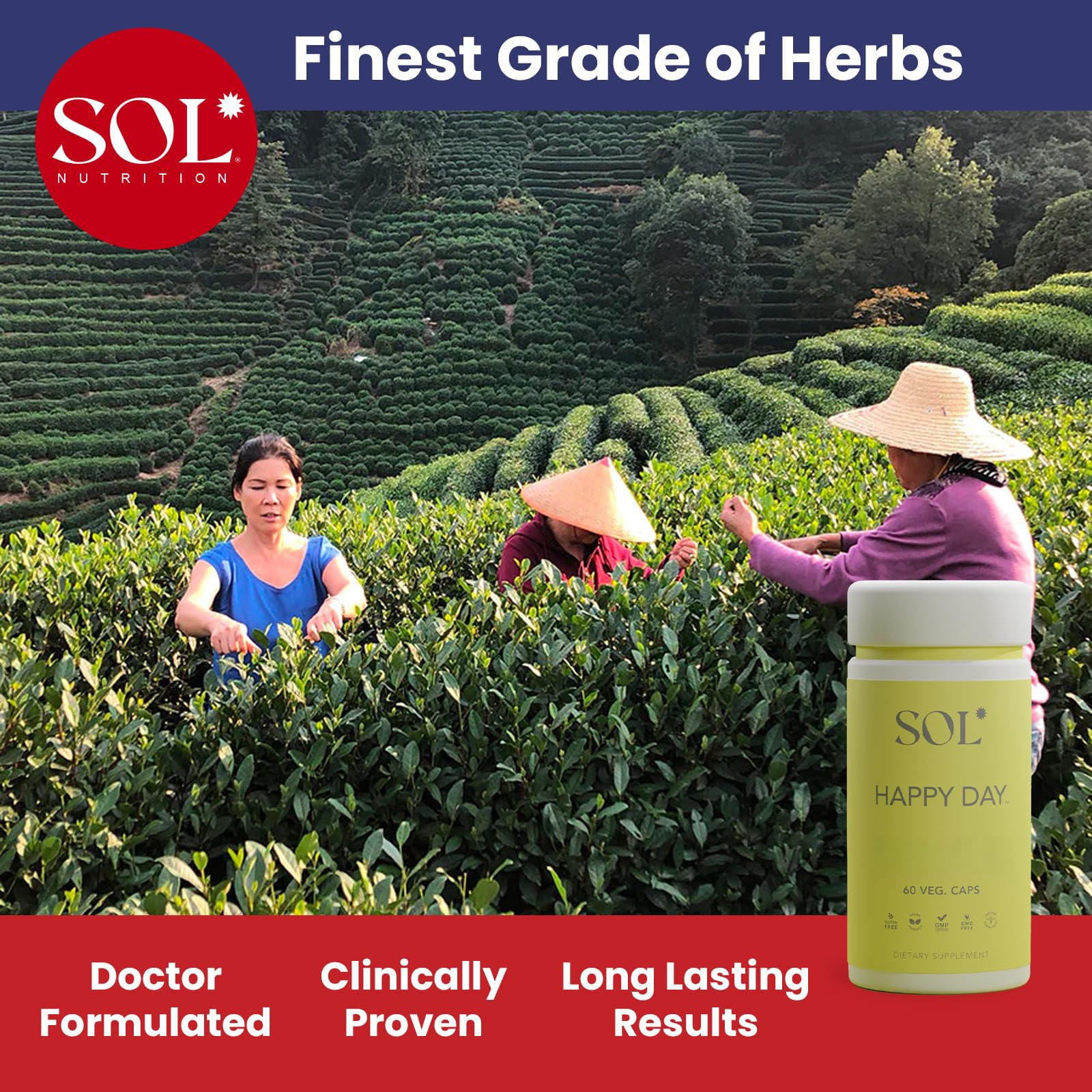 Sol Nutrition Happy Day Supplement: Combining The Natural Herbal Properties of Collective Happiness Bark, Astragalus, and Gingko Biloba to Support a Healthy Lifestyle - 60 Easy to Swallow Capsules Sol Nutrition Au supplements