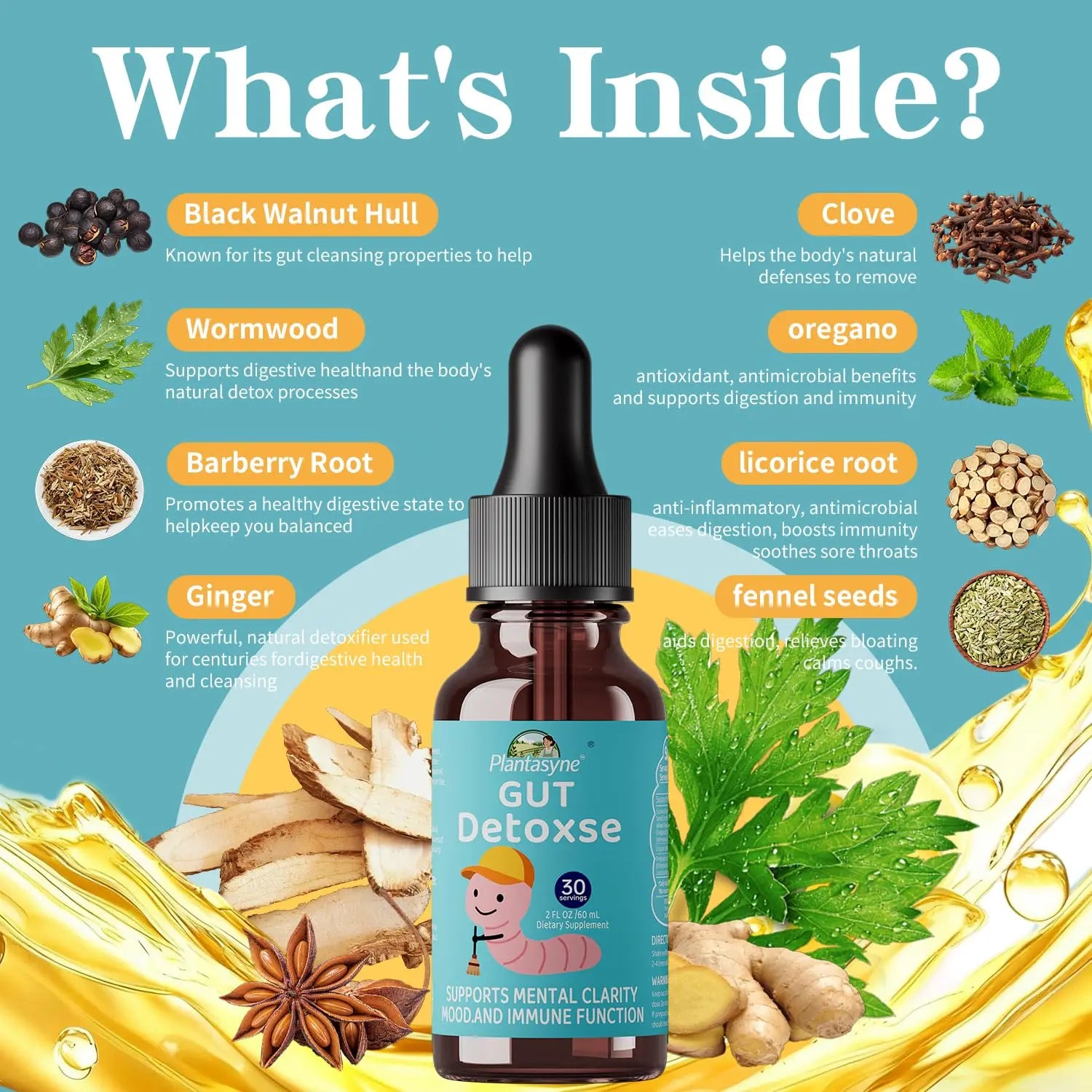 Plantasyne Herbal Gut Cleanse Drops with Black Walnut Hull & Barberry Root | Gentle Liquid Detox for Gut & Colon Support | for Adults & Kids|30 Servings Plantasyne Au supplements