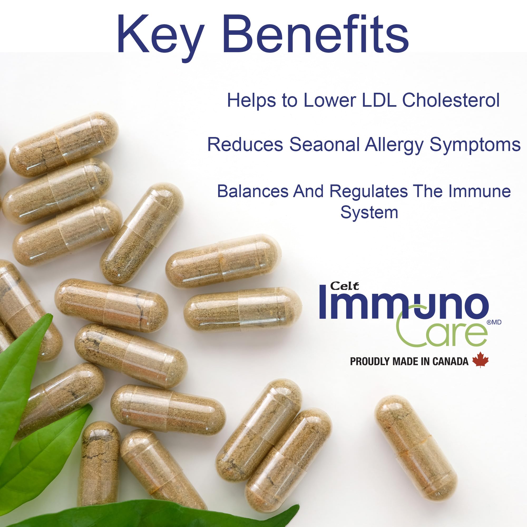 Celt Immunocare 60 v-caps - Potent Seasonal Allergy Blend - Adult Immunity Support - Cholesterol Modulator - Plant Sterols Ultra Strength - 7 Key Immunity Enhancing Ingredients Celt Immuno-Care Au supplements