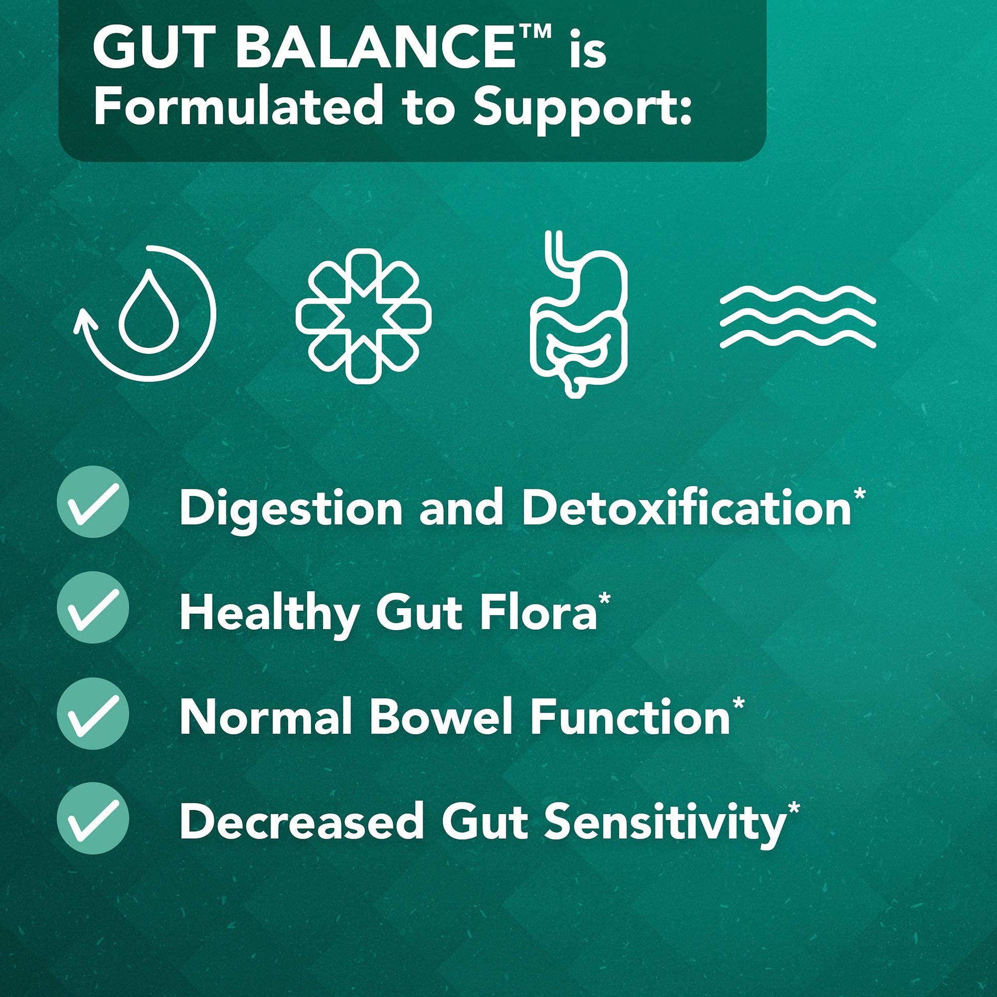 Vital Plan Gut Balance Supplement by Dr. Bill Rawls - Advanced Digestive Health Support Formula w/Clinical-Grade Slippery Elm Bark, Berberine & Dandelion Extract for Women & Men (180 Capsules) Vital Plan Au supplements