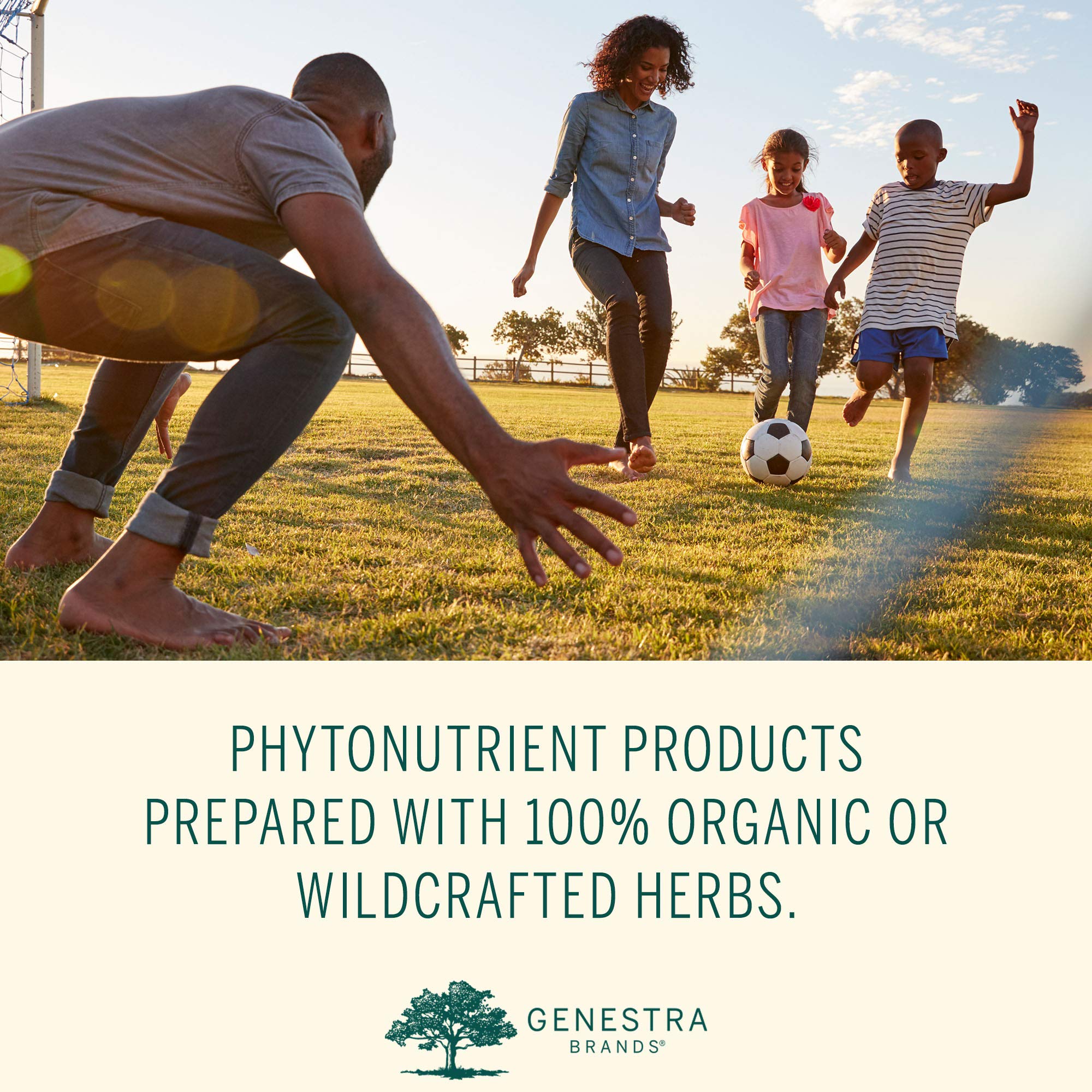 Genestra Brands Phyto Greens Capsules | Vitamins, Dietary Fiber and Enzymes for Optimum Nutrition | 180 Capsules Genestra Brands Au supplements