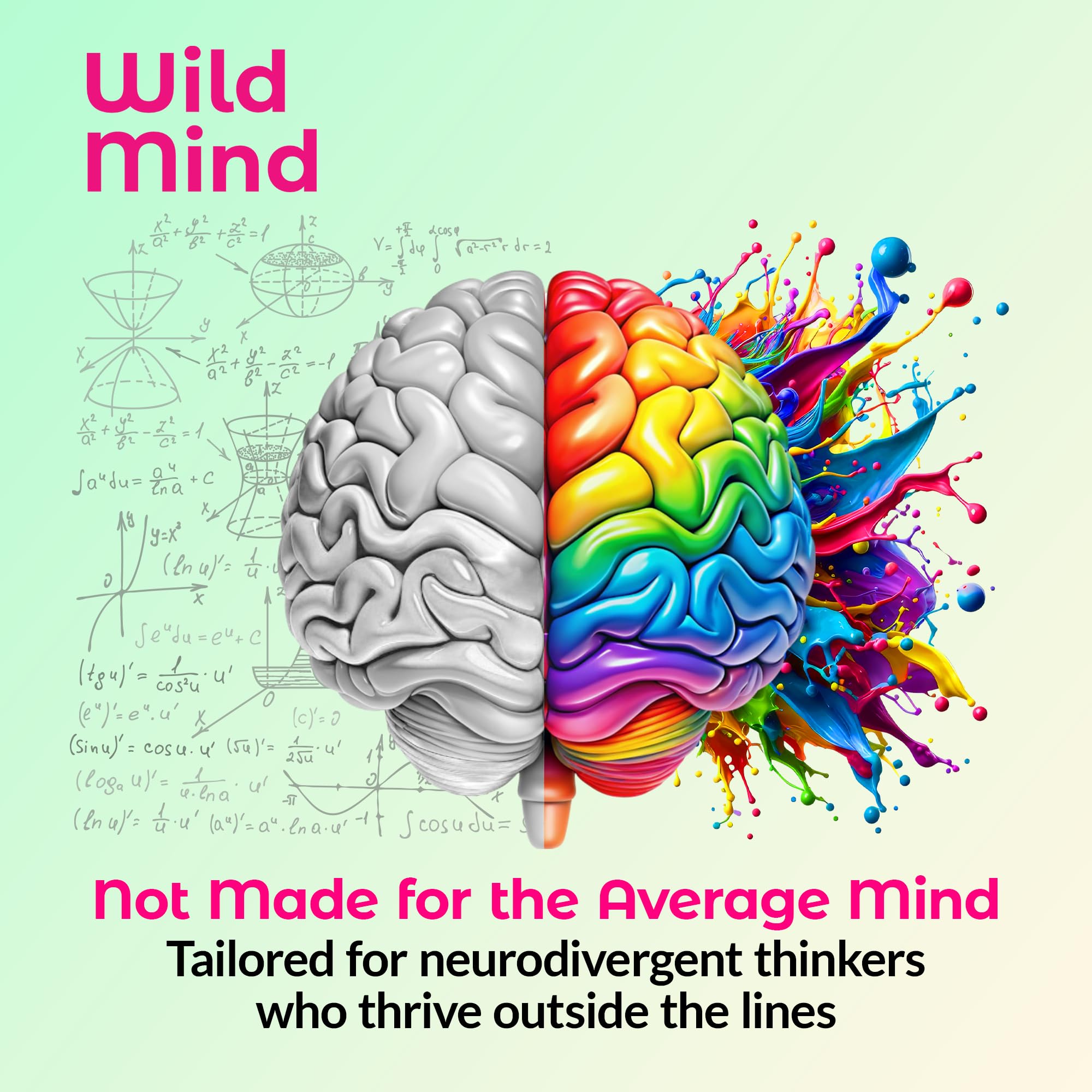 Wild Mind Mental Clarity Balanced Focus & Mood Support Supplement for Mental Wellness– 4-Ingredient Nootropic Brain Support for Calm & Energy – Vegan, 90 Capsules, 30-Day Supply Wild Mind Au supplements