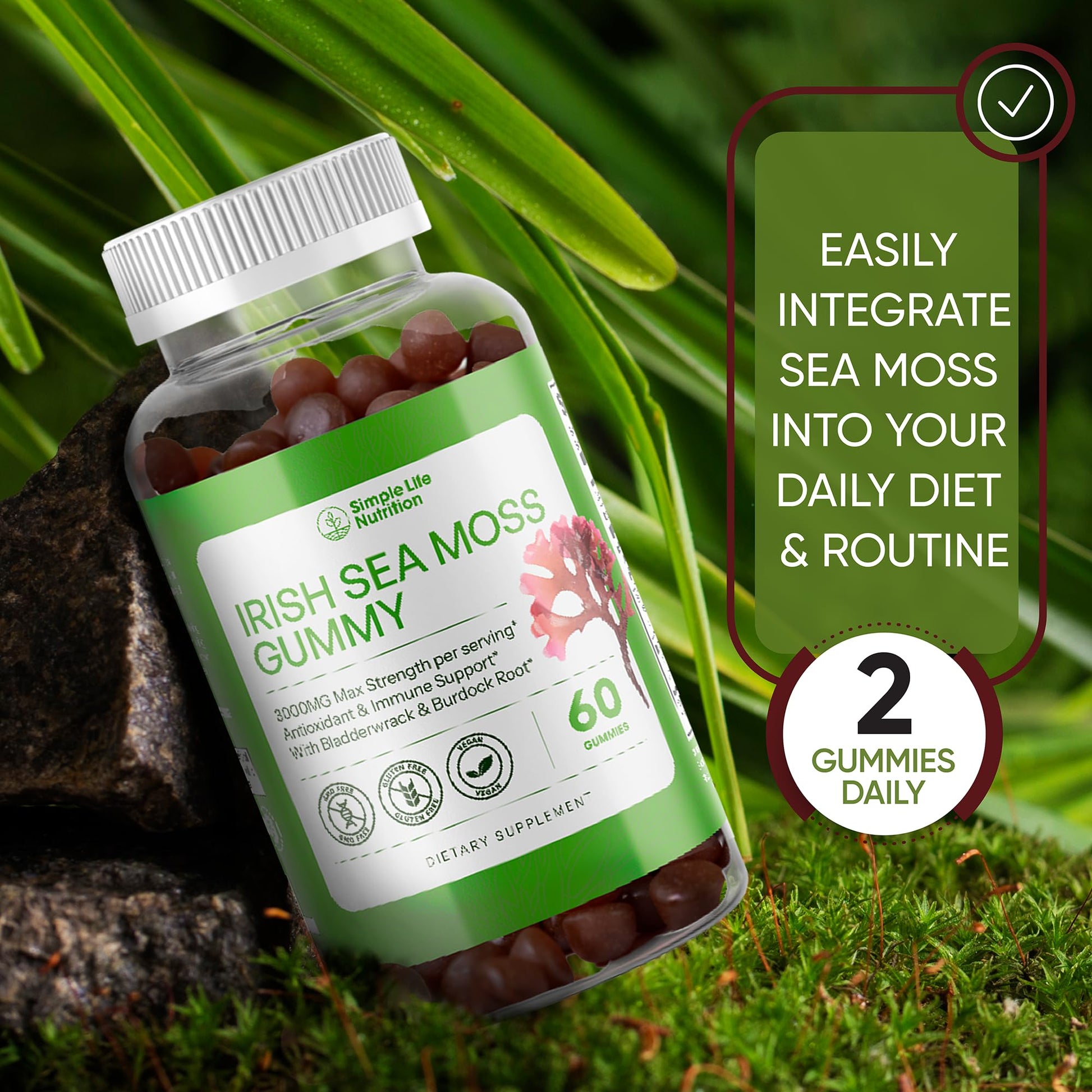 Simple Life Nutrition Organic Irish Sea Moss Gummies - Burdock Root and Bladderwrack Natural Blend - Immune System Gut Cleanse & Thyroid Supplement - Skin and Nail Health - 60CT Simple Life Nutrition Au supplements