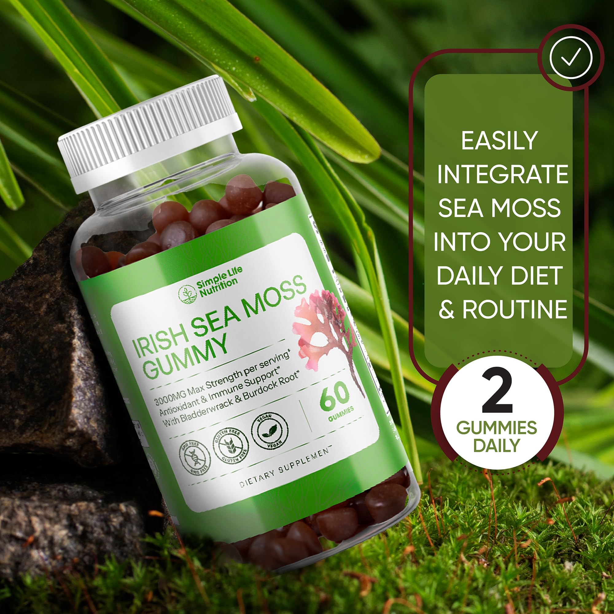 Simple Life Nutrition Organic Irish Sea Moss Gummies - Burdock Root and Bladderwrack Natural Blend - Immune System Gut Cleanse & Thyroid Supplement - Skin and Nail Health - 60CT Simple Life Nutrition Au supplements