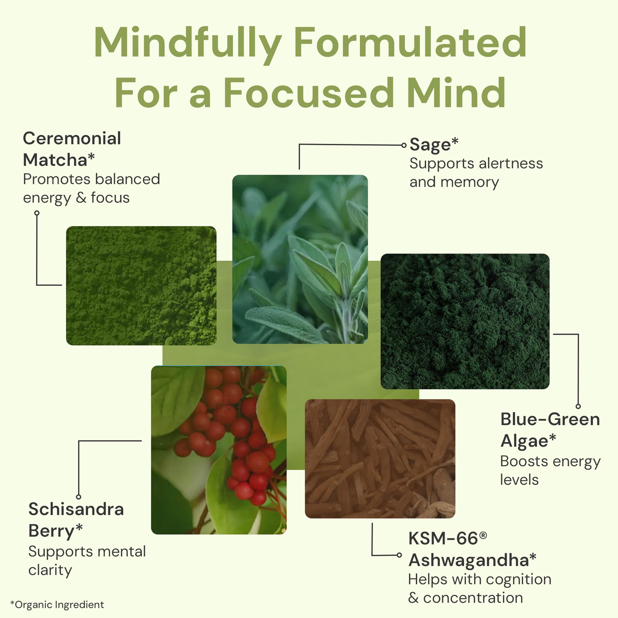 ION* Intelligence of Nature Focused Mind Nootropic Powder Drink Mix - Brain Boost Nootropic Drink with Matcha for Memory, Focus & Relaxation, Brain Supplement for Men & Women, Adults - 20 Packets ION* Intelligence of Nature Au supplements